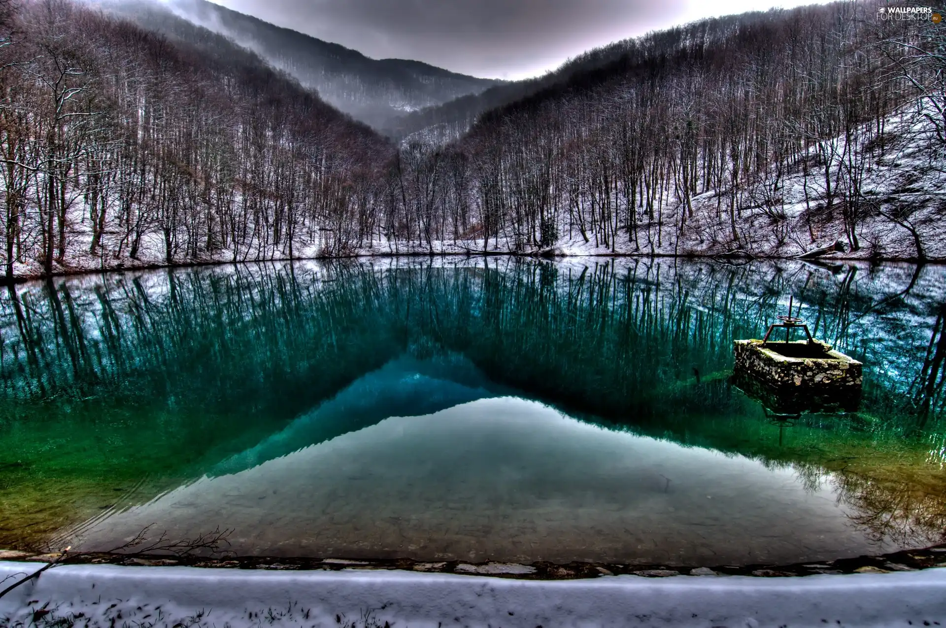 forest, winter, The Hills, lake