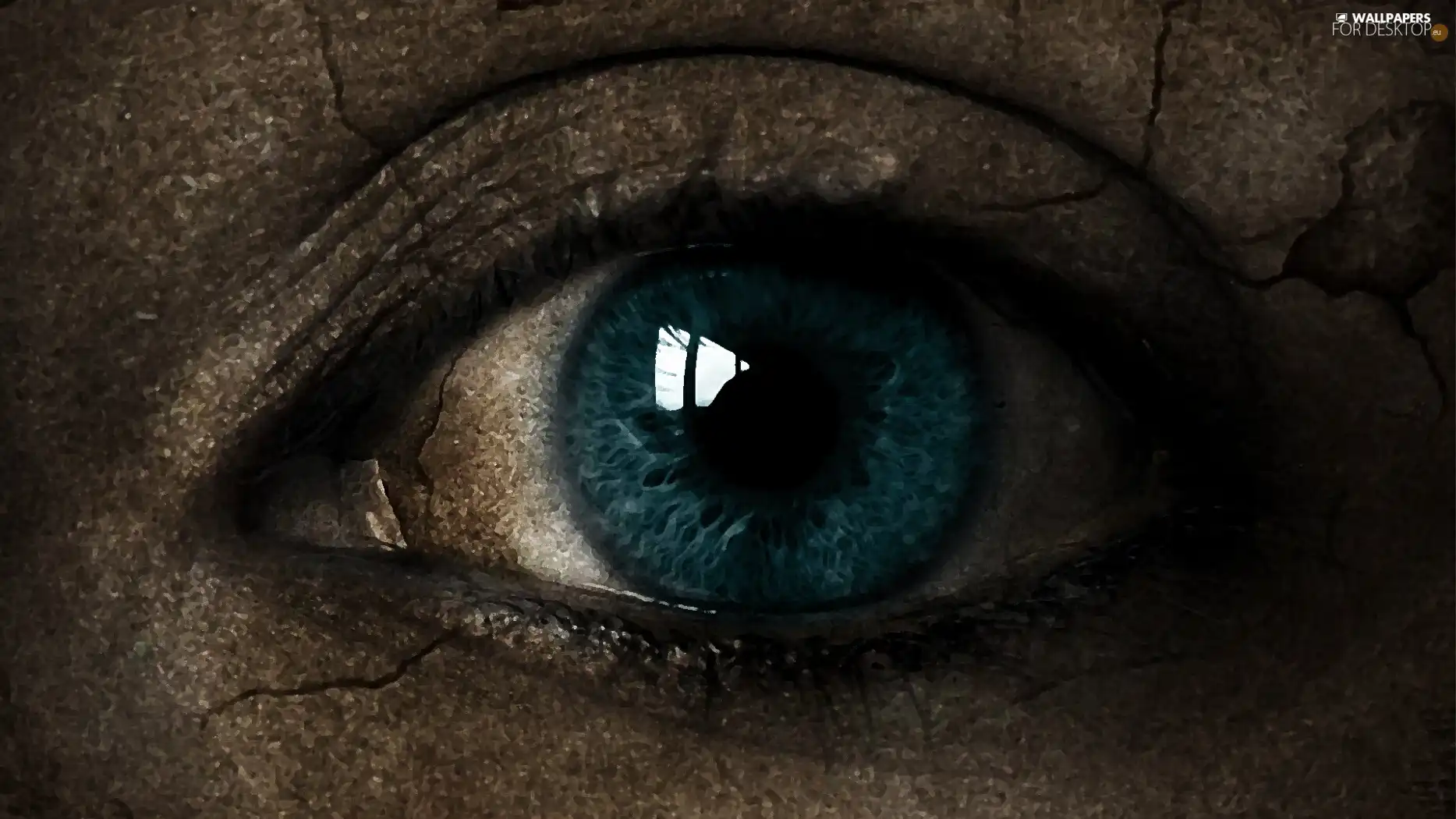 iris, eye, The look