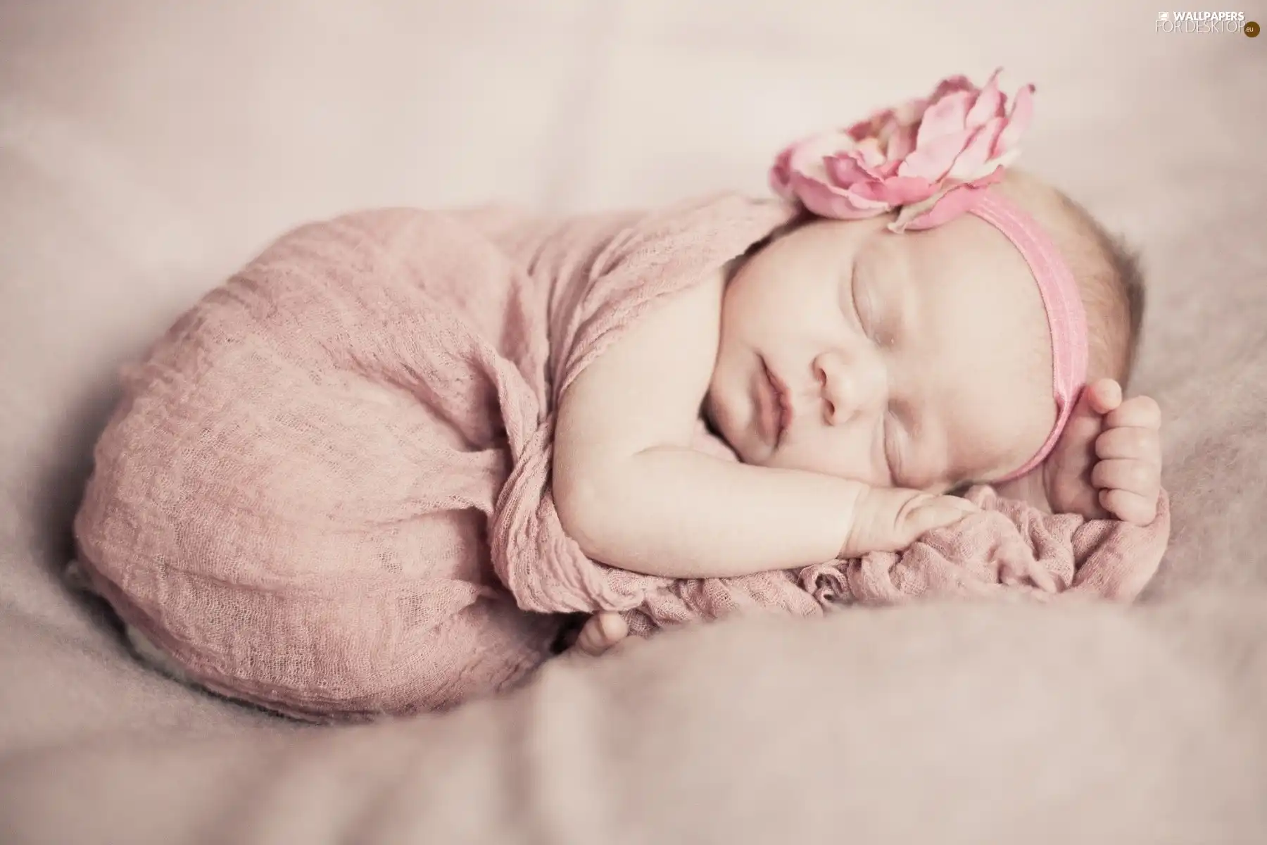 girl, The tiny, the sleeping