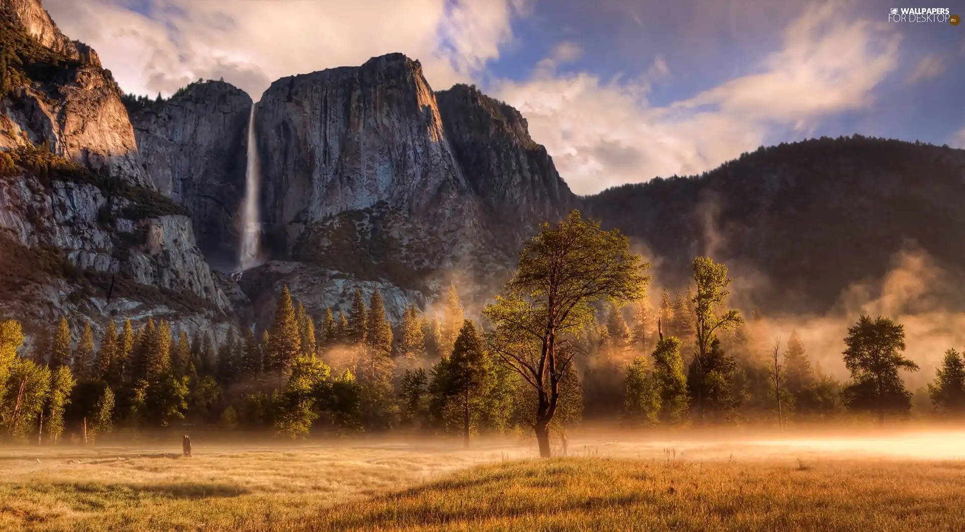 Yosemite National Park, rocks, Fog, trees, Mountains, State of California, The United States, viewes