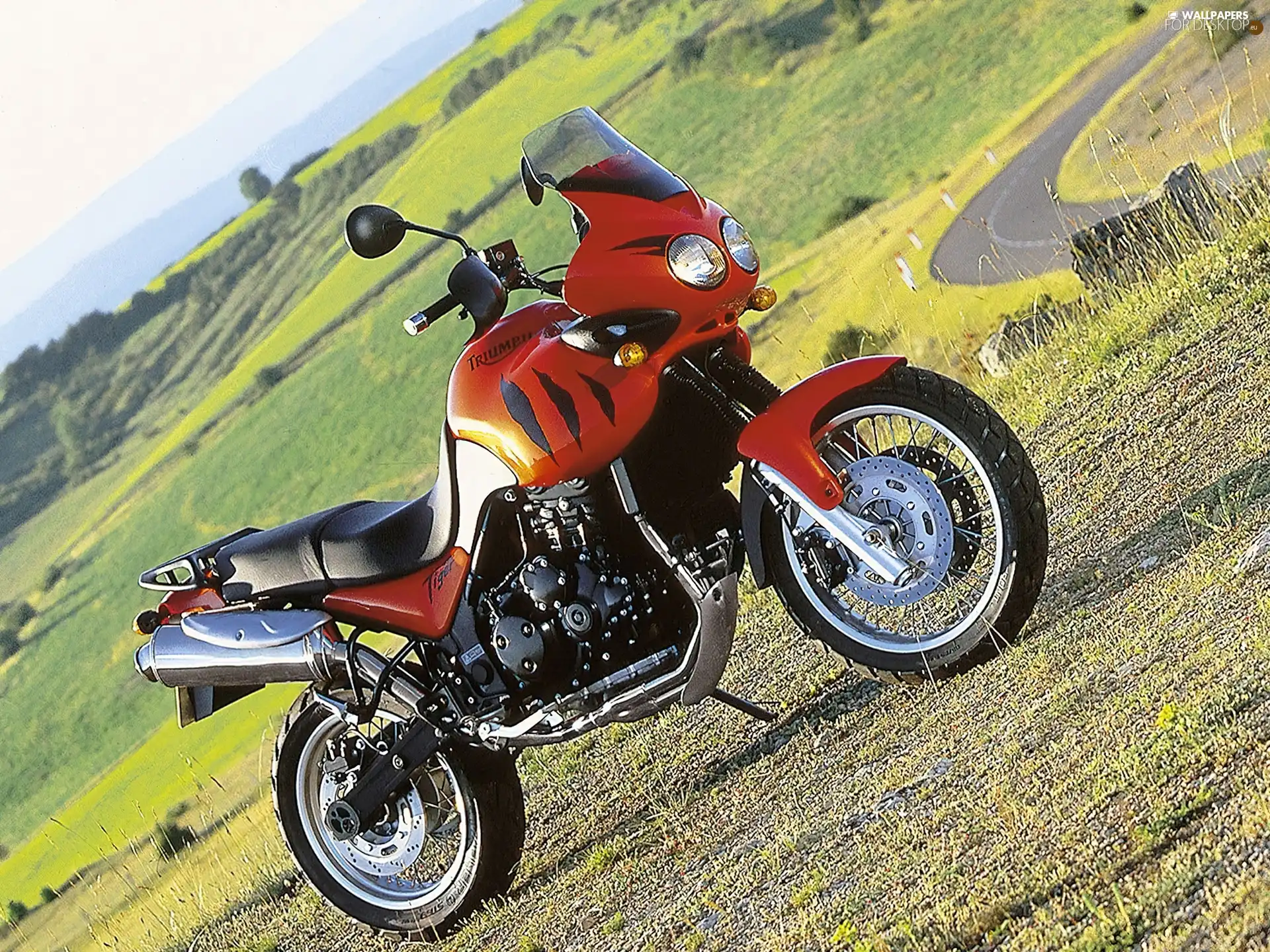 Triumph Tiger 955i