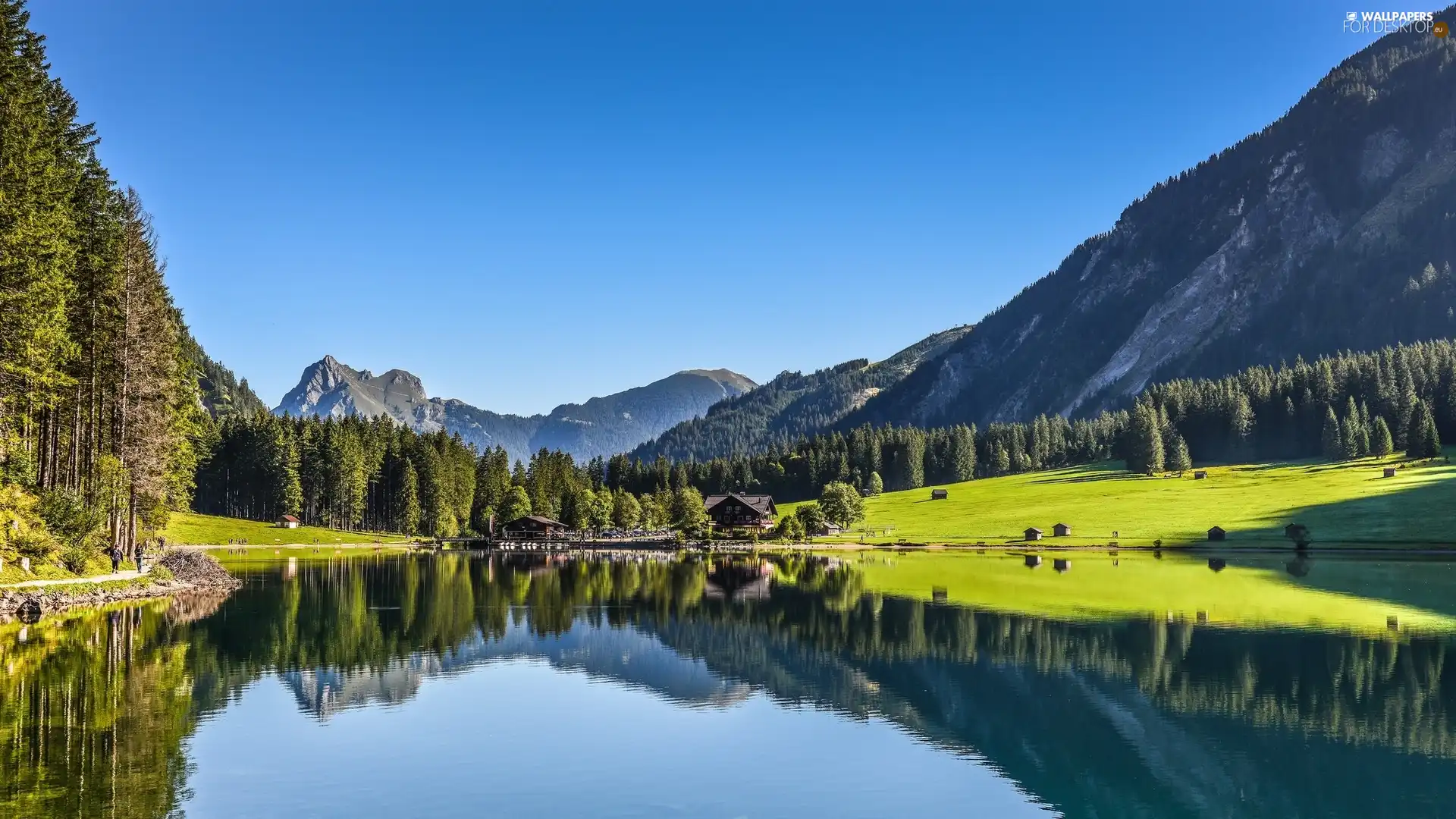 Tirol, Austria, lake, woods, Mountains