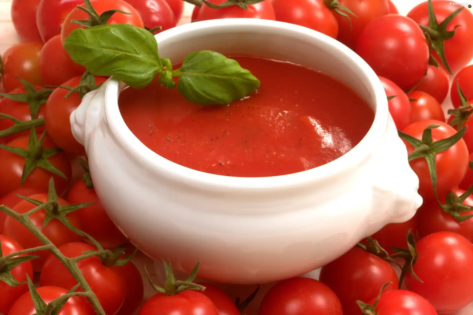 tomato, tomatoes, soup