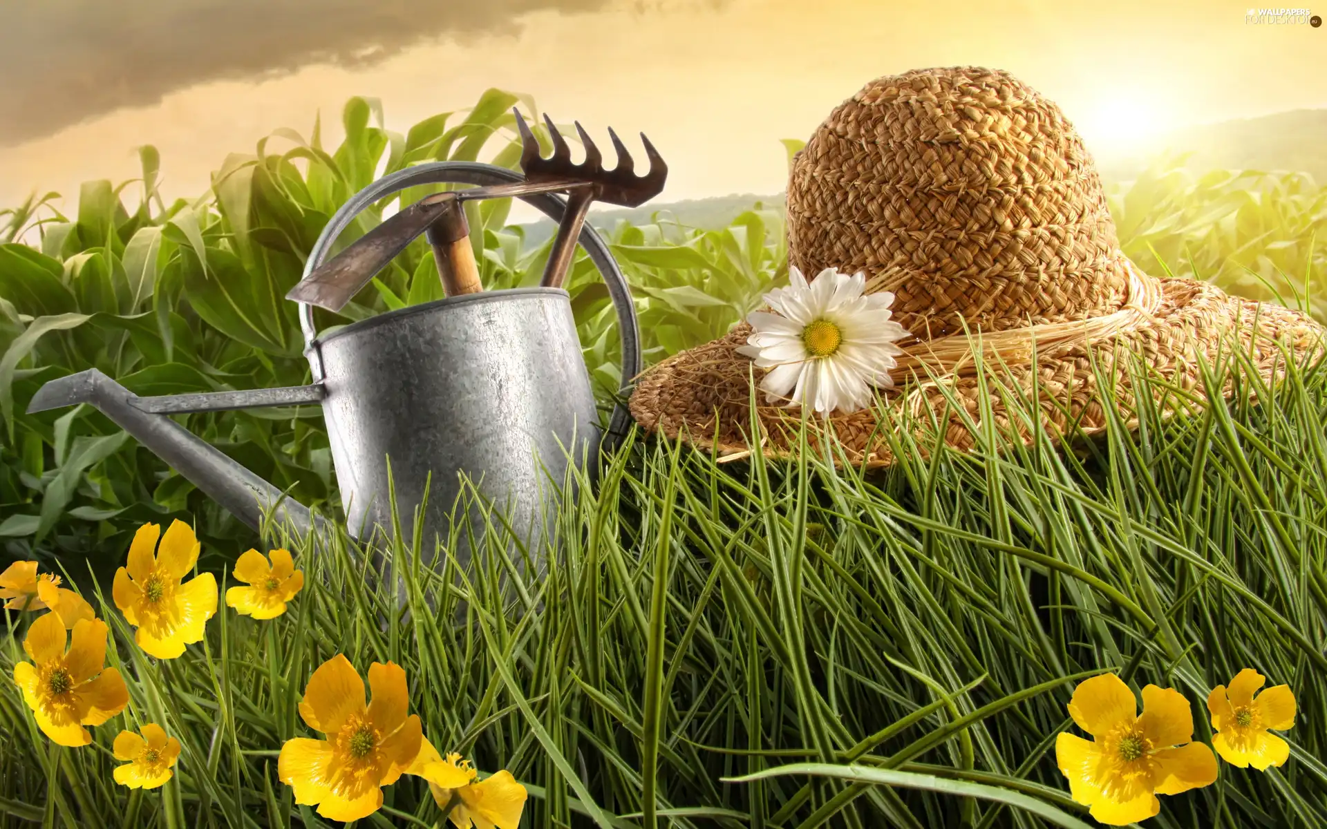 Tools, Supplies, Flowers, Hat, grass