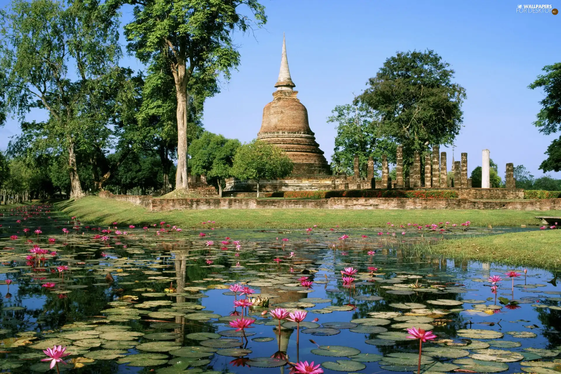 Thailand, Flowers, tower, lake