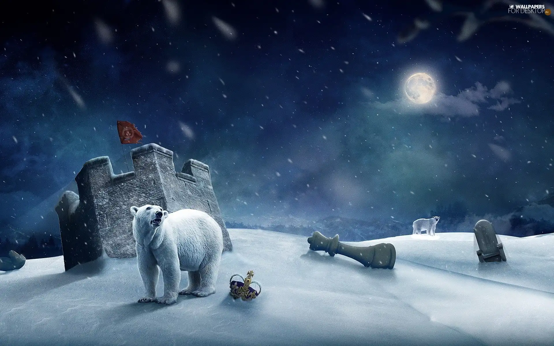 tower, winter, bears, polar, Night