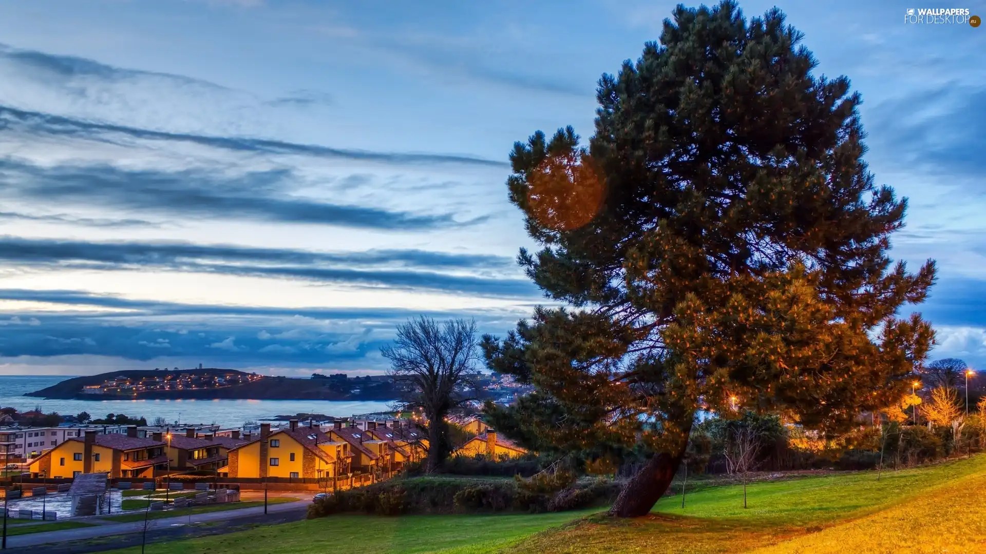 Meadow, viewes, Town, trees