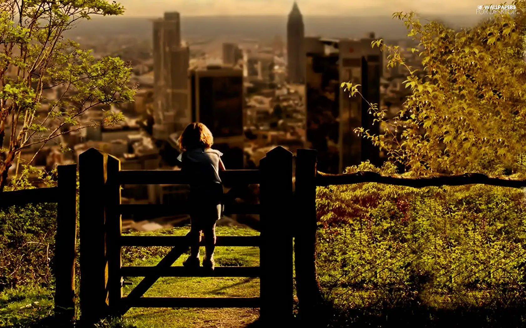Town, Kid, View