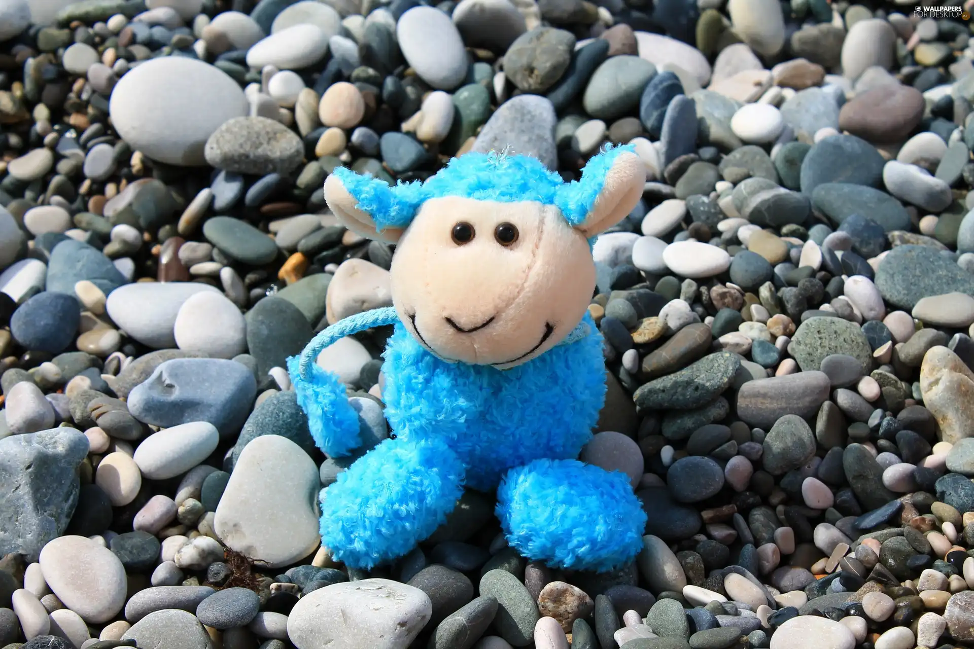 toy, Stones, Blue