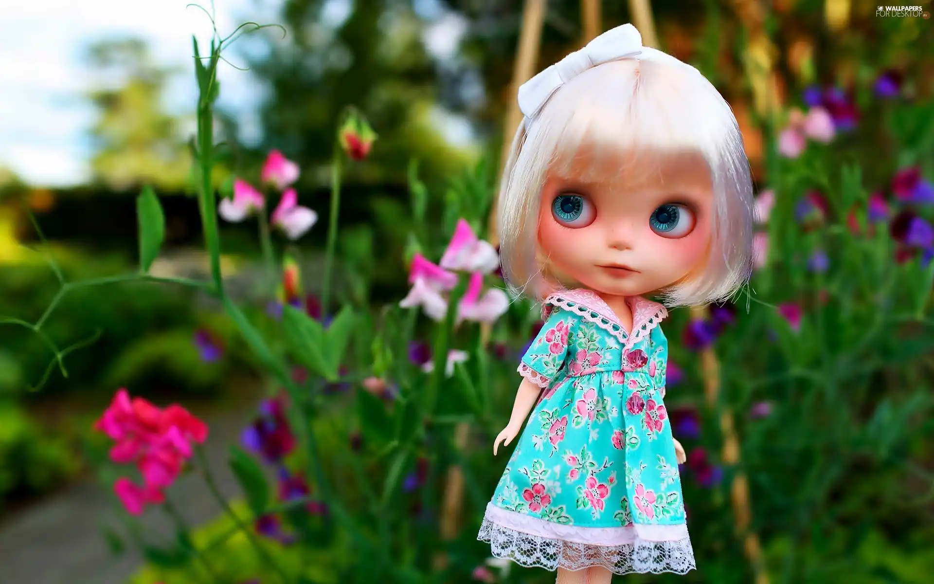 toy, doll, garden