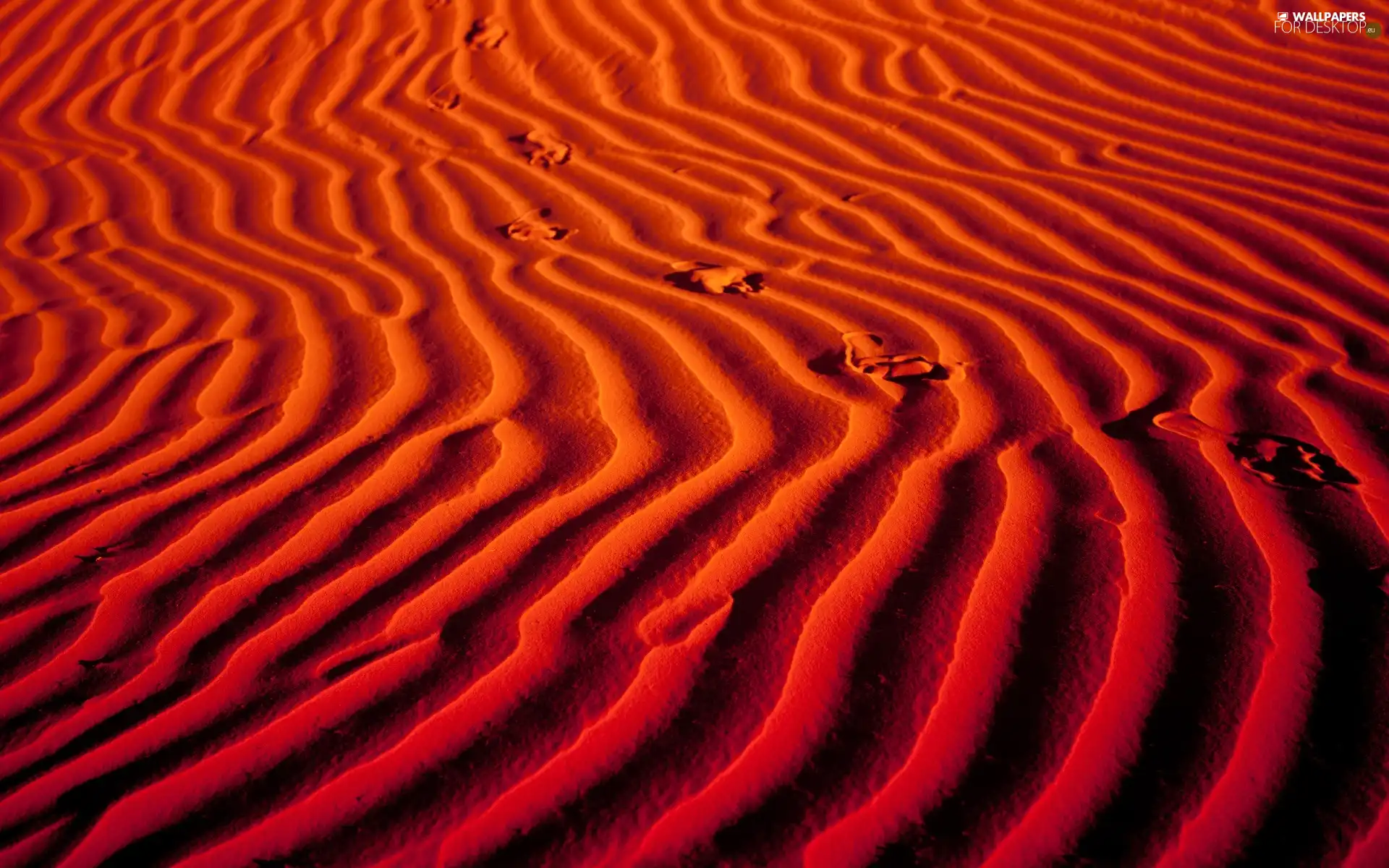 traces, Sand, desert
