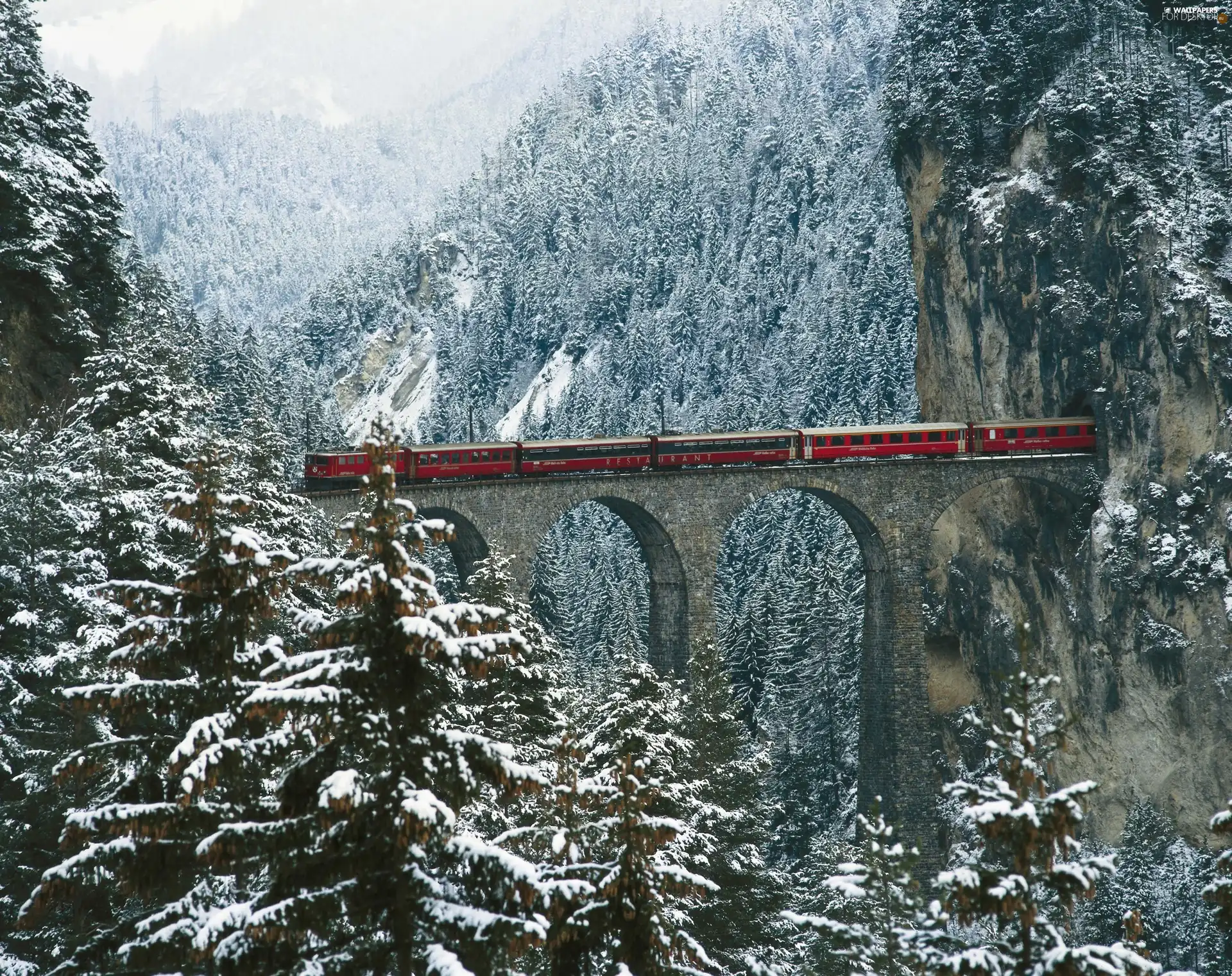 Train, winter, forest, tunnel, Mountains