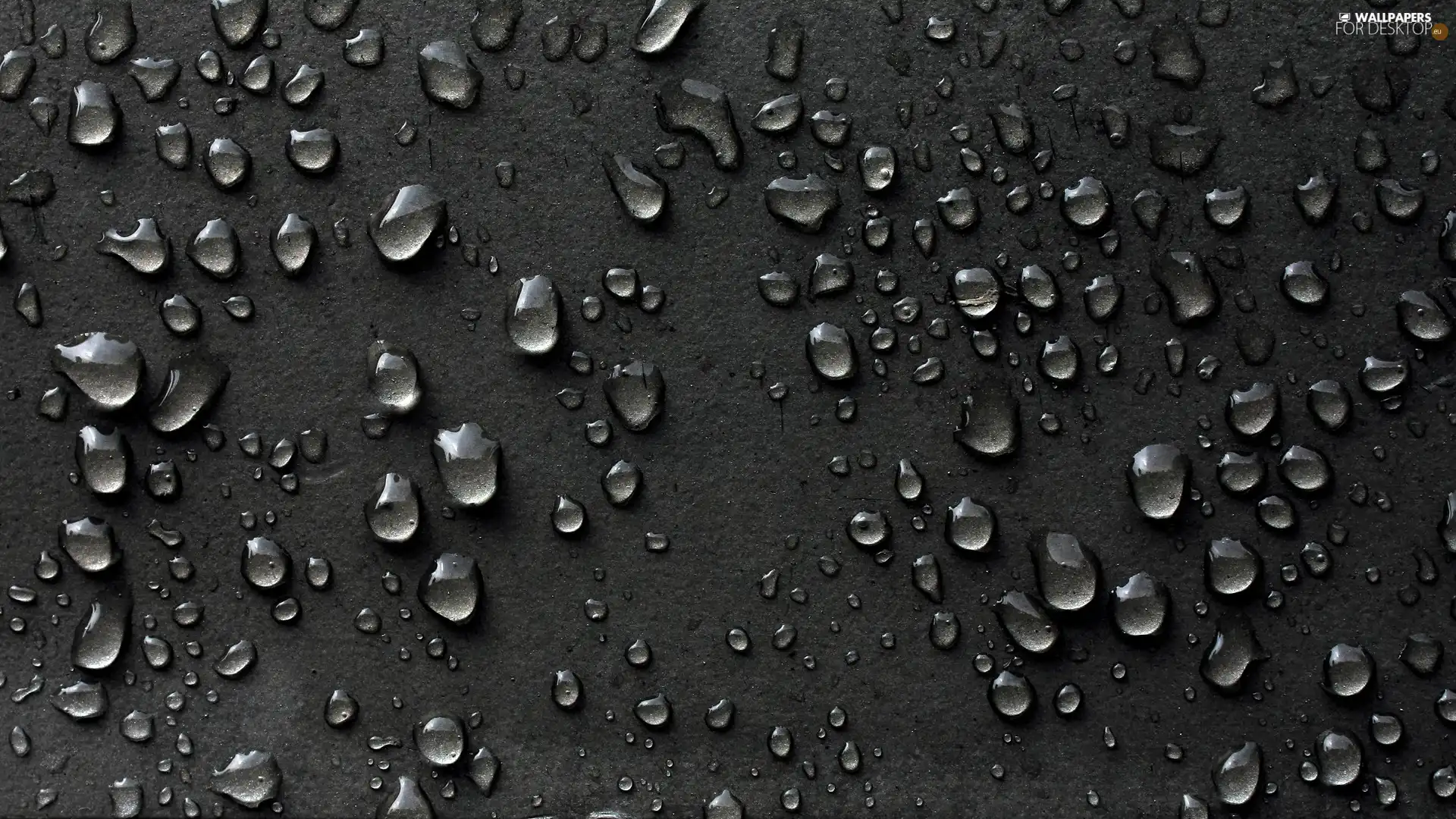 drops, Rain, Transparent, tears