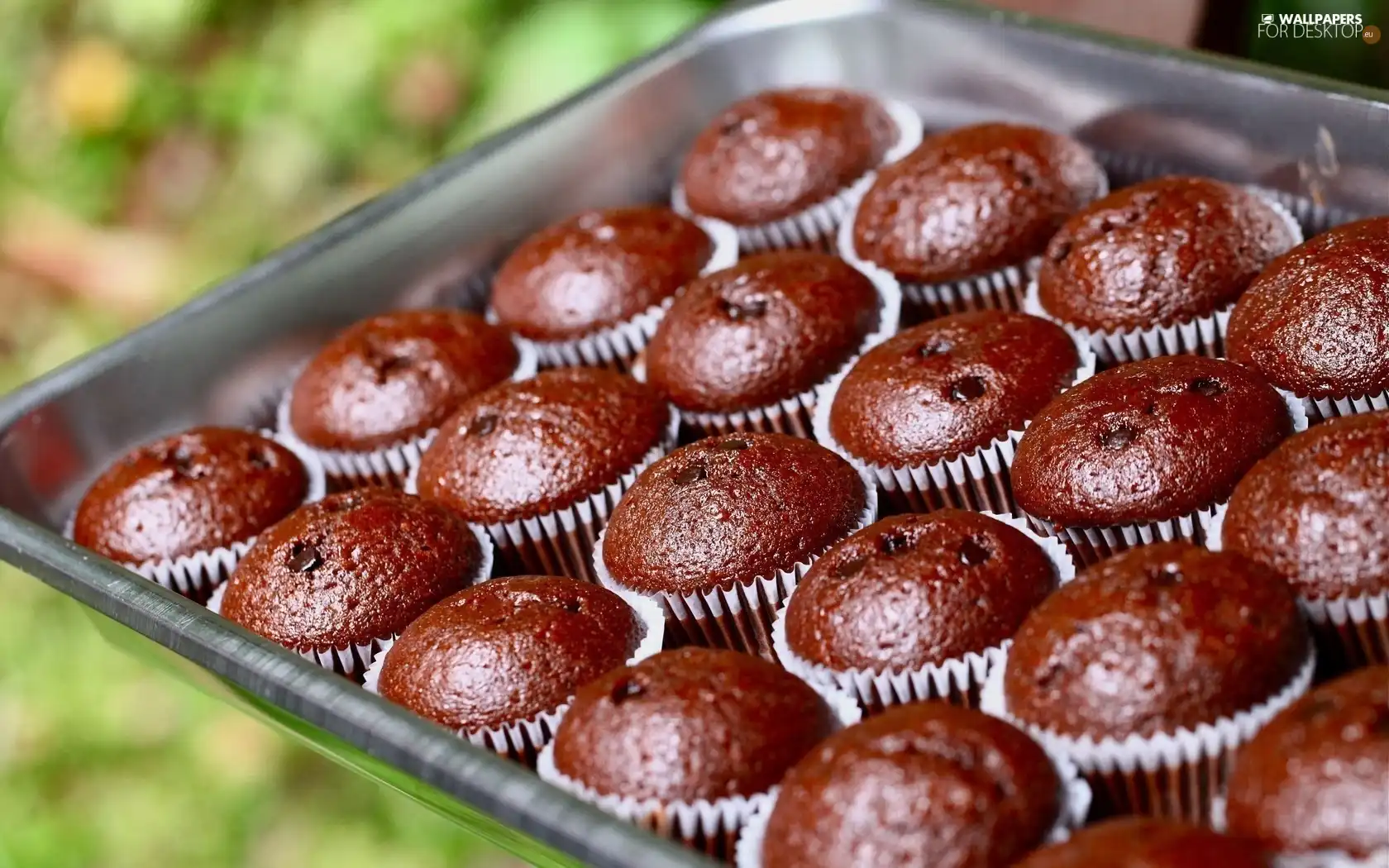 Muffins, Tray