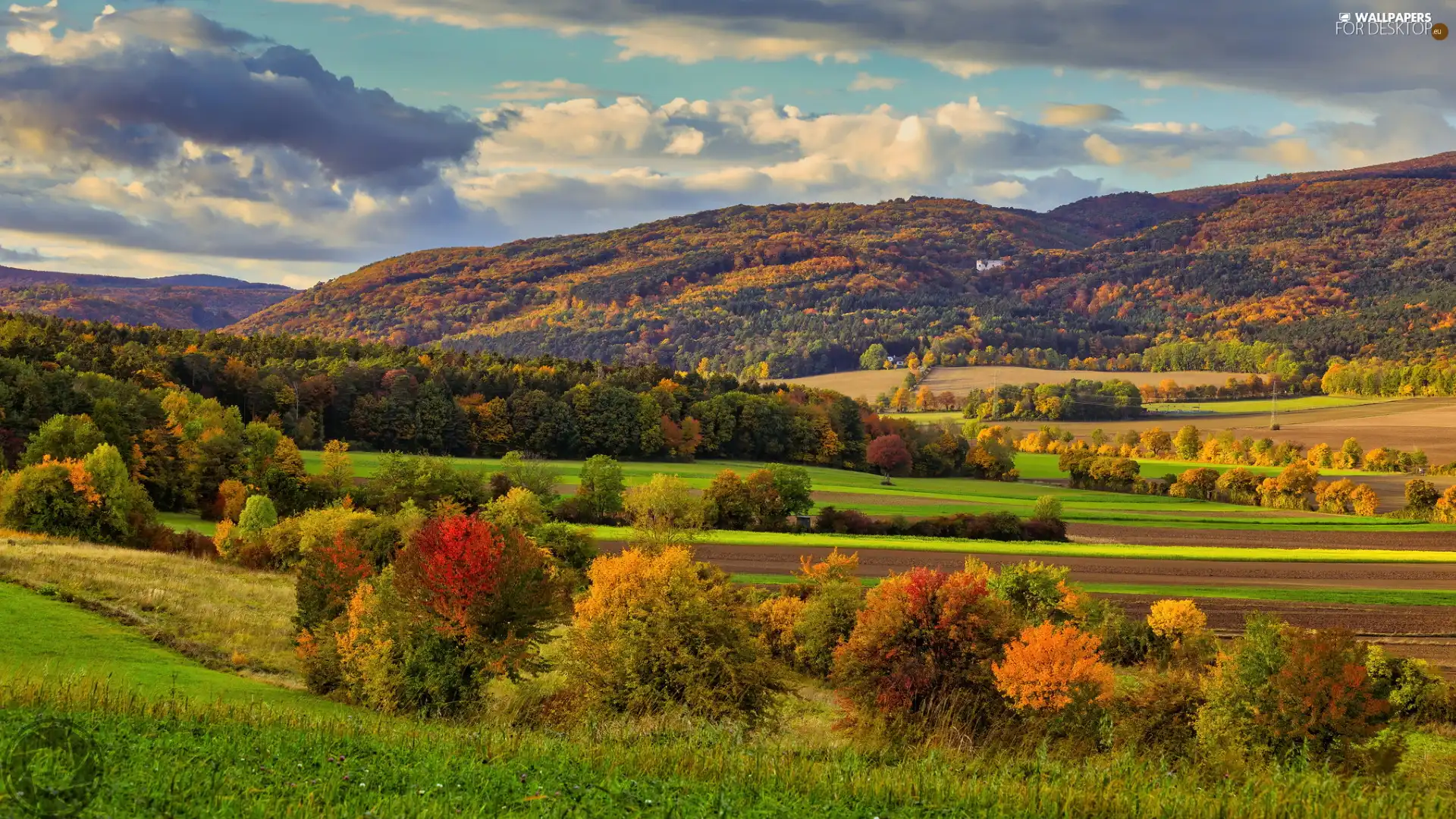 The Hills, autumn, trees, viewes, color, Mountains