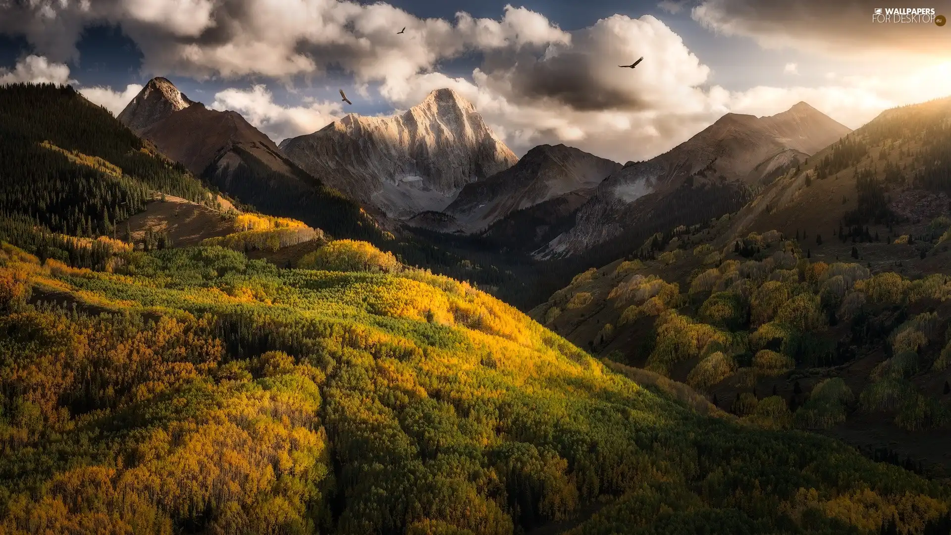 viewes, woods, birds, trees, Mountains, autumn, clouds
