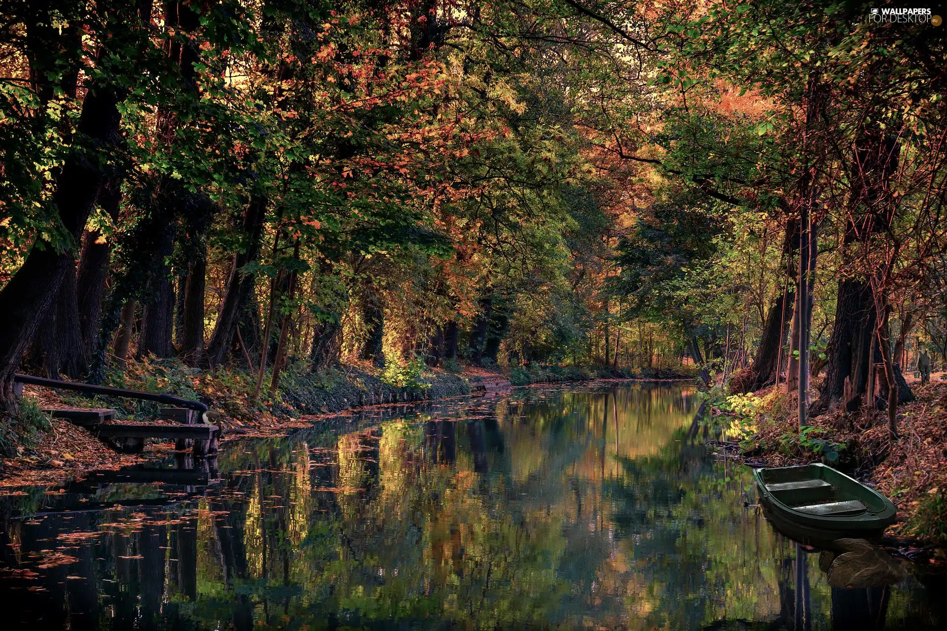 viewes, River, Boat, trees, canal, forest, autumn