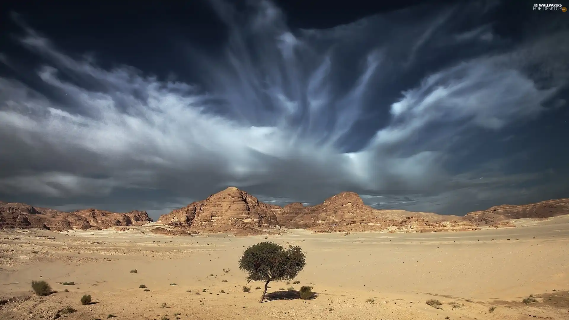 trees, Sky, canyon