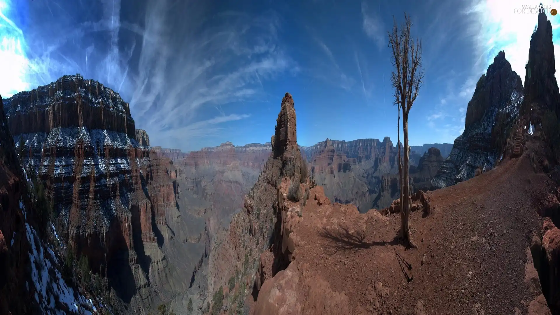 canyons, trees