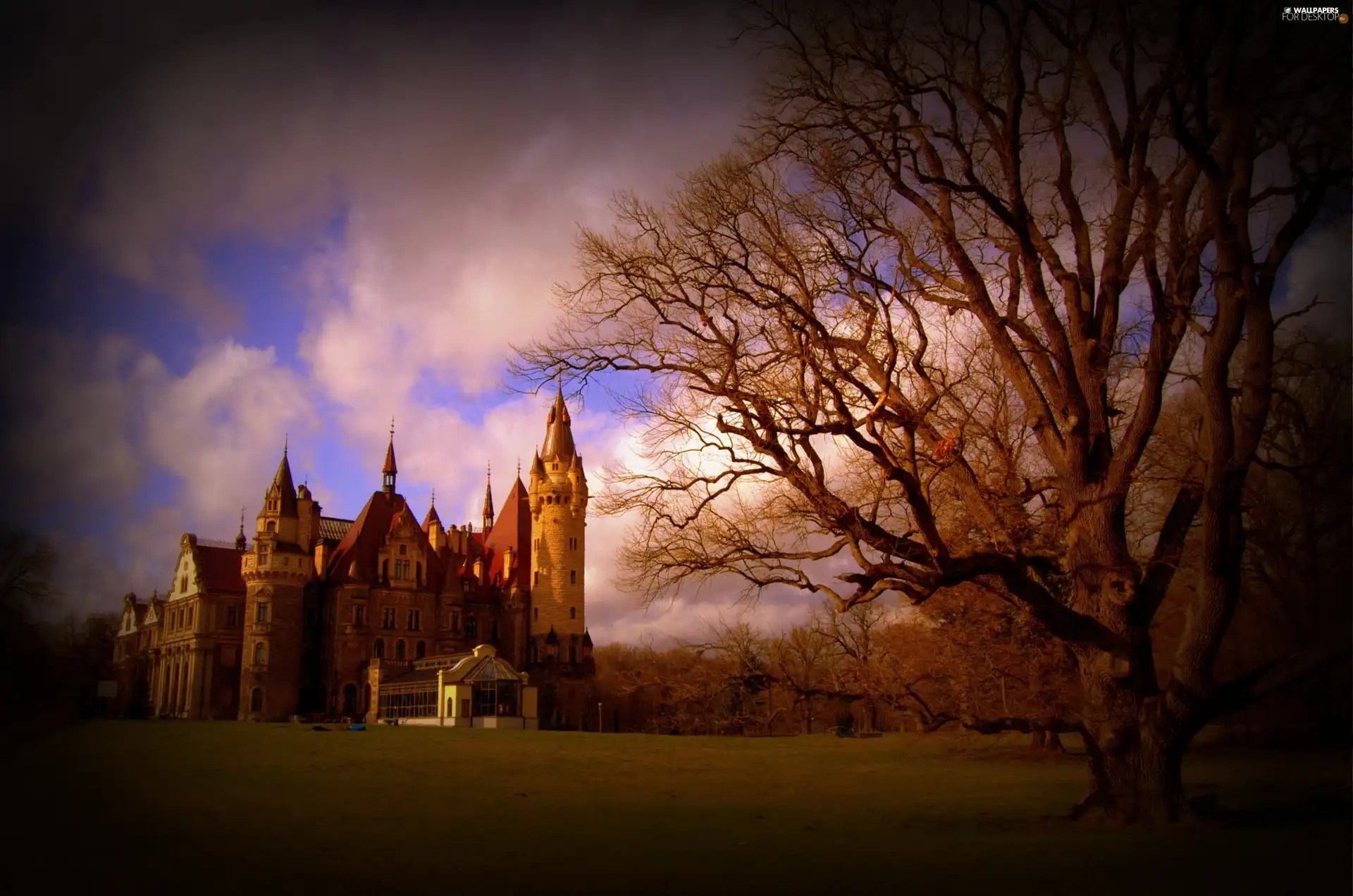 Castle, trees