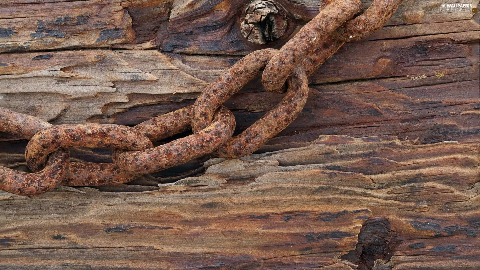 chain, trees