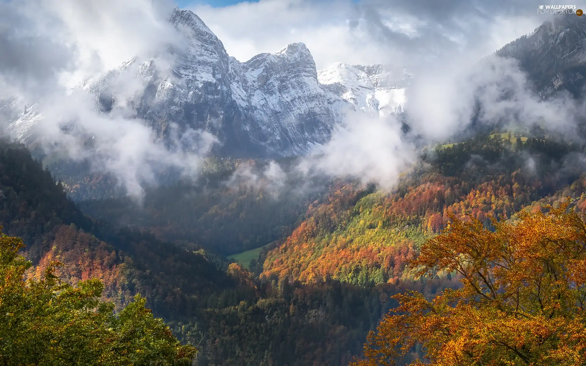 viewes, forest, clouds, trees, Mountains, Fog, autumn