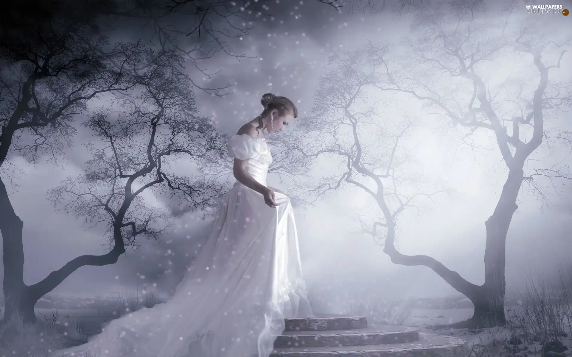 young lady, White, viewes, Dress, Women, trees, Fog