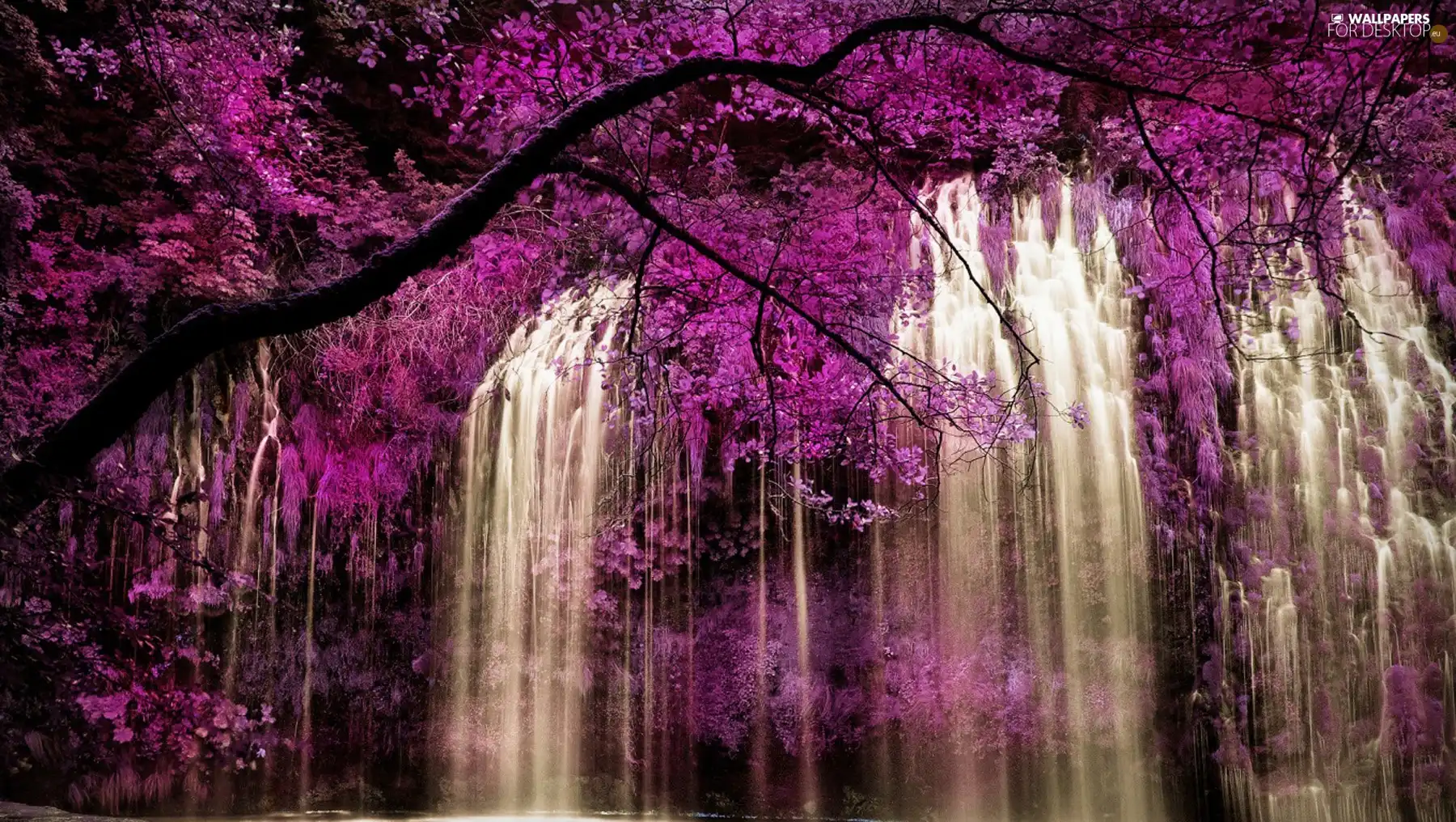 trees, waterfall, Heather