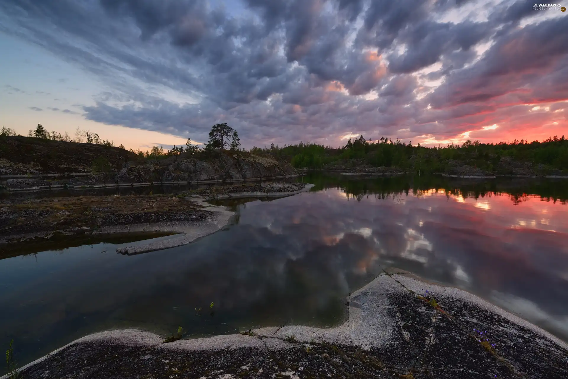 trees, Russia, rocks, Great Sunsets, Lake Ladoga, viewes, Stones