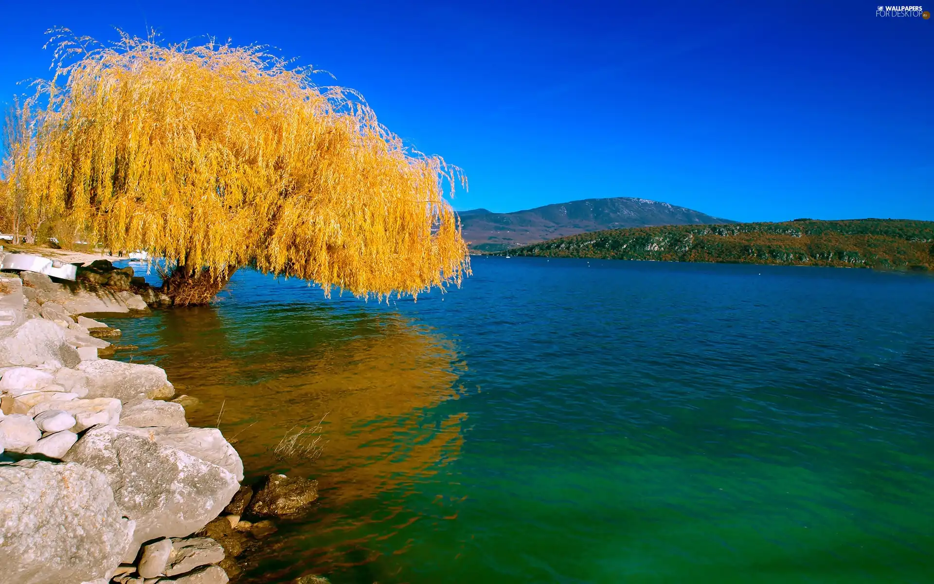 lake, trees