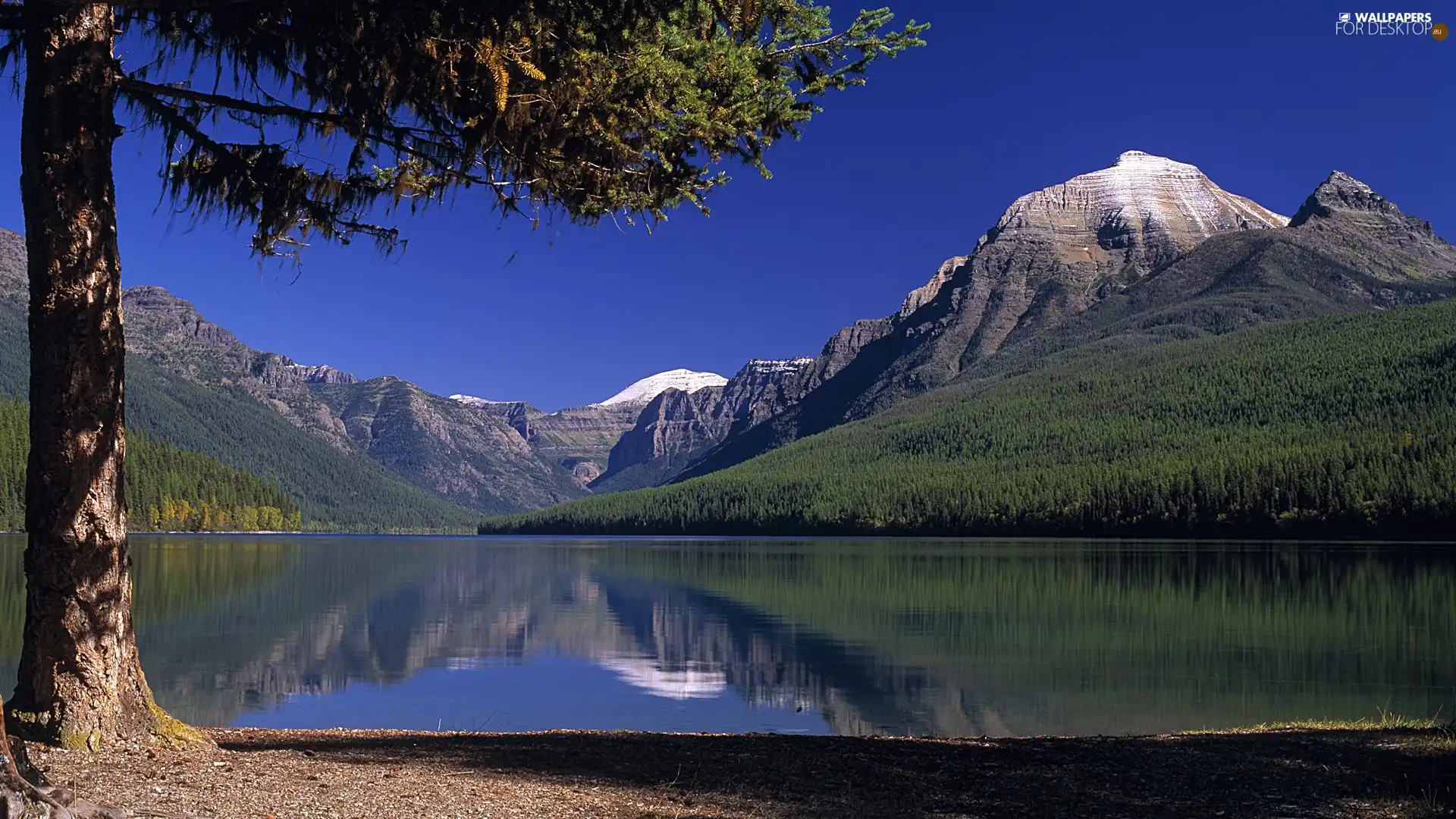 Mountains, coast, trees, lake