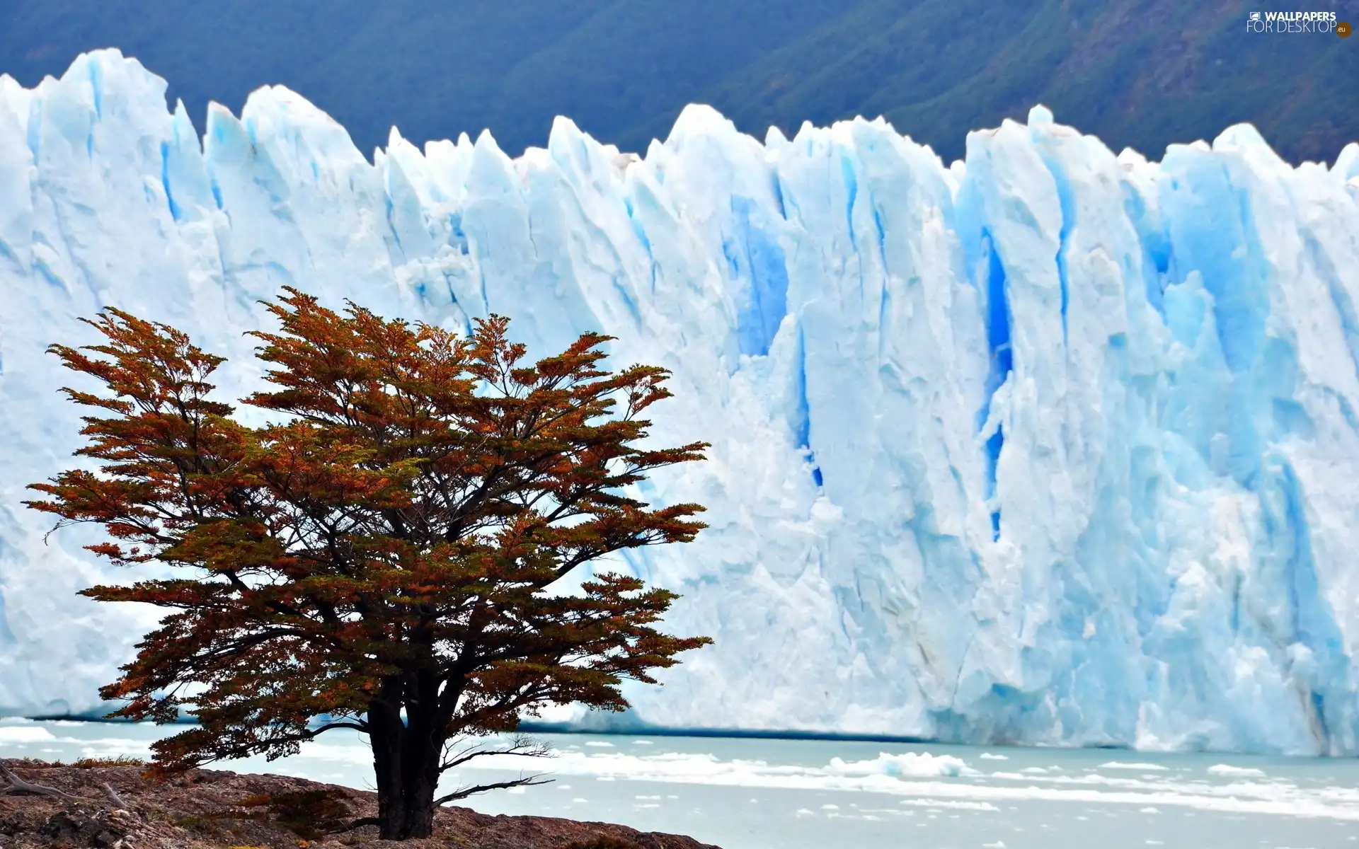 mountains, River, trees, Ice