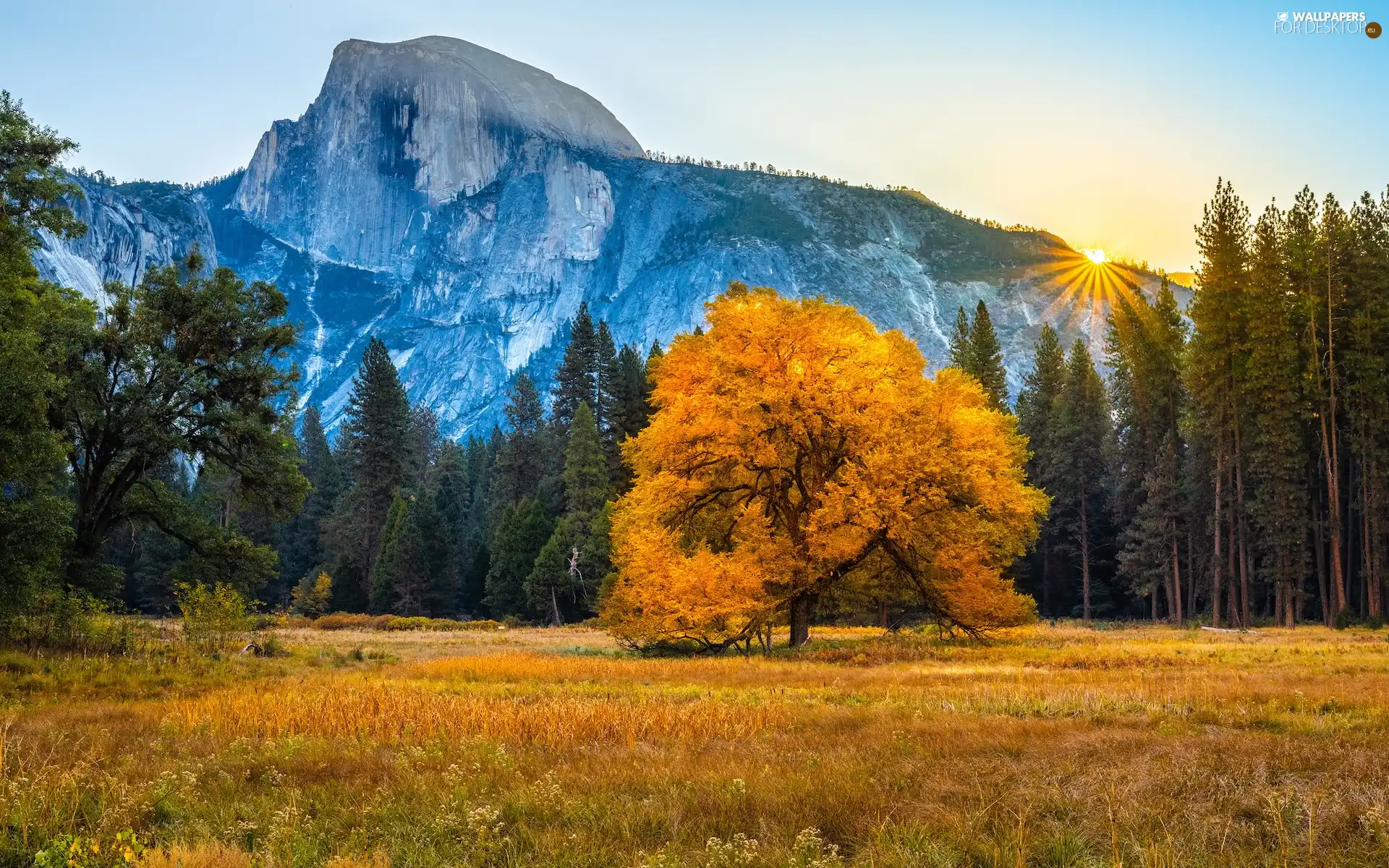 Yosemite National Park, autumn, Mountains, trees, State of California, The United States, forest, rays of the Sun, viewes