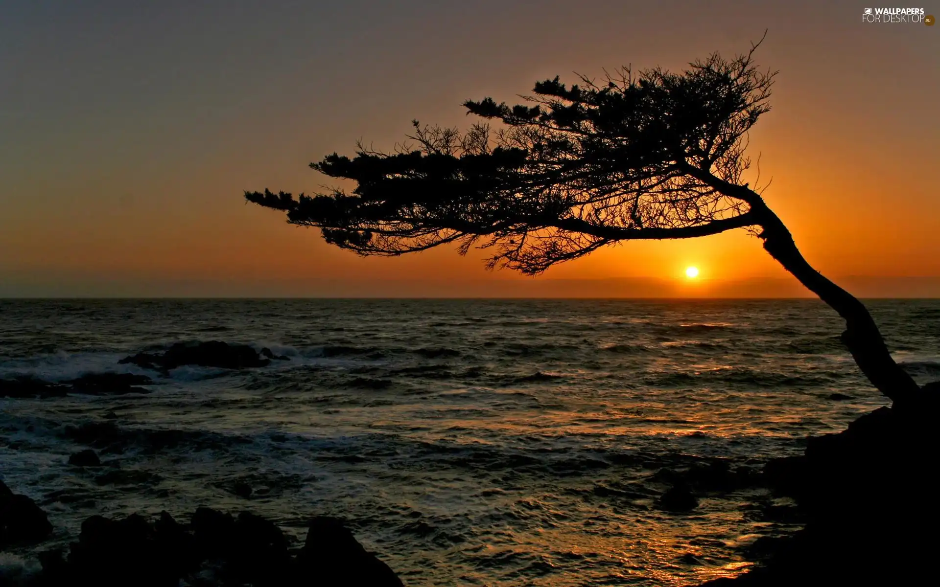 water, west, trees, rocks, sea, sun