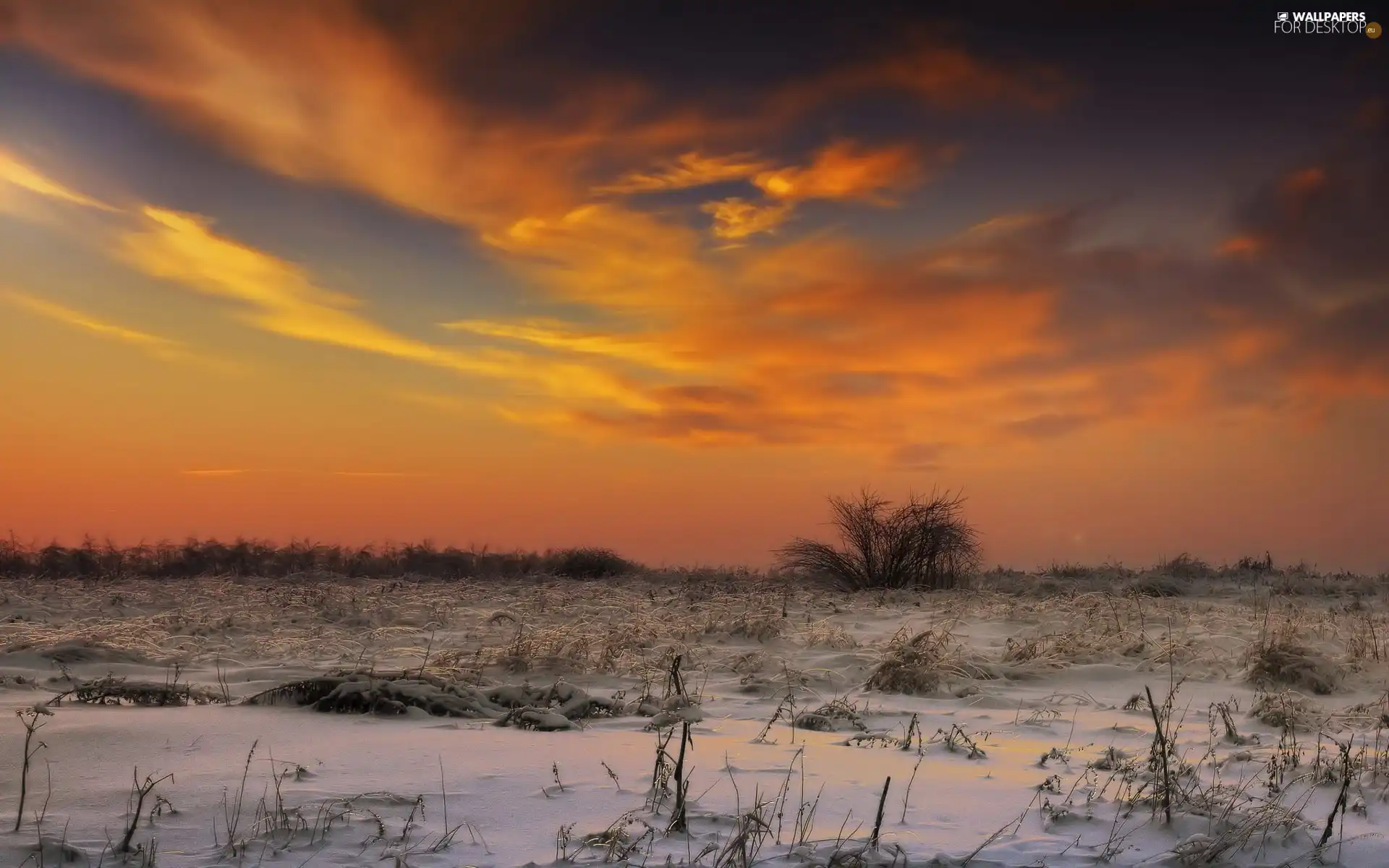 Sky, snow, trees, clouds