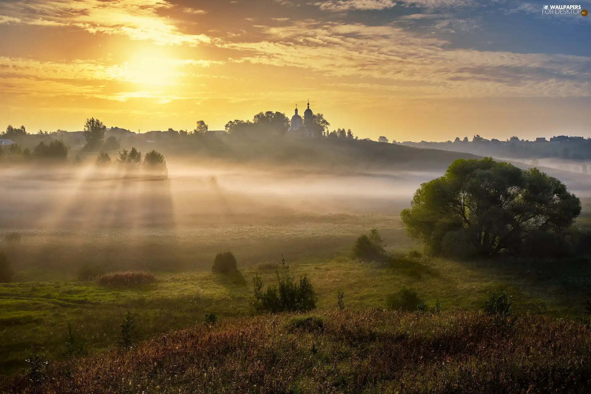 trees, medows, Cerkiew, light breaking through sky, viewes, Fog