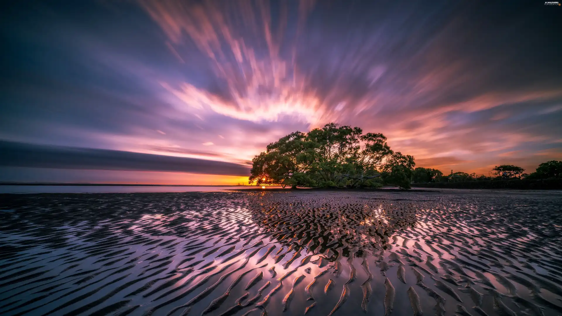 Great Sunsets, sea, trees