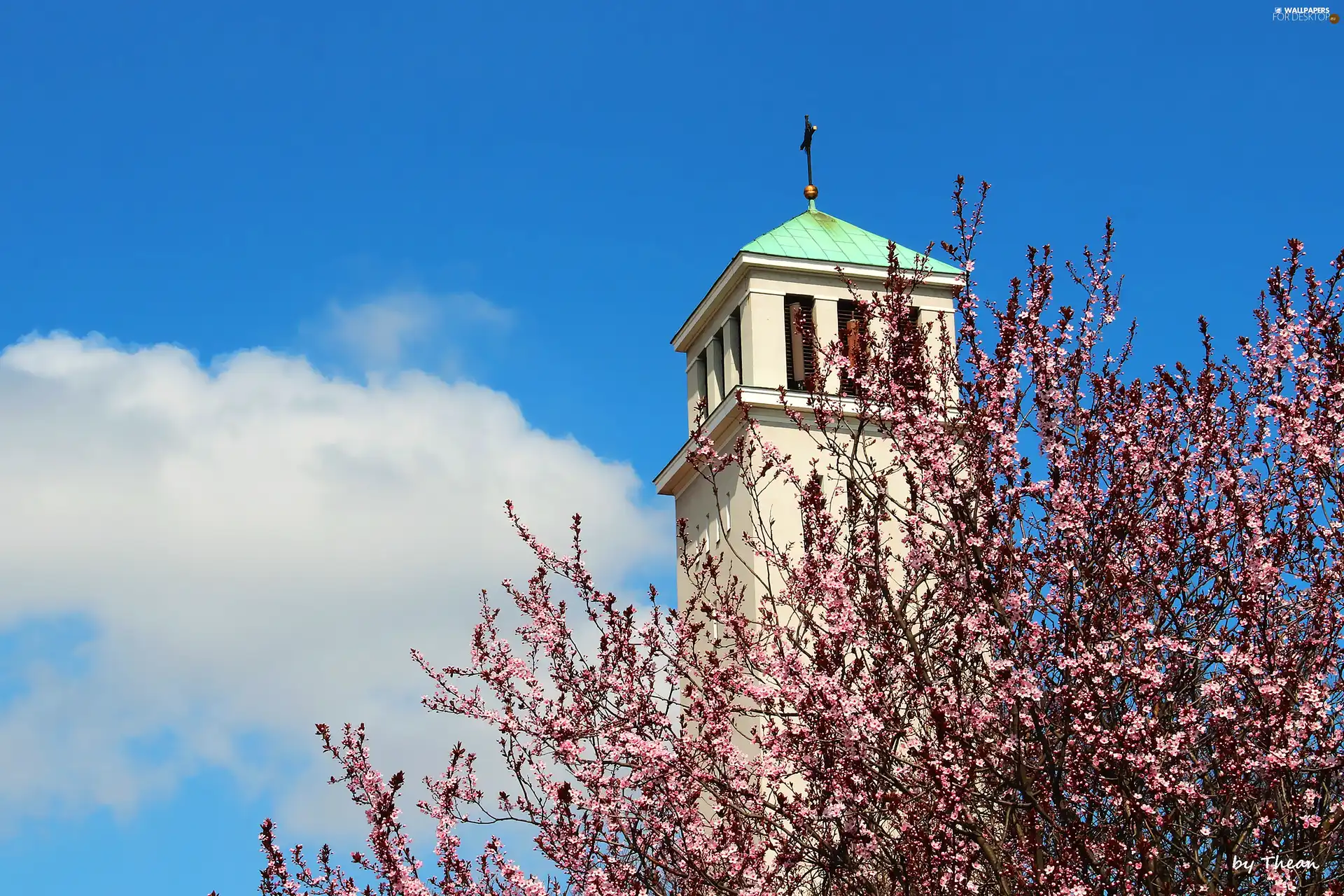 tower, flourishing, trees, Church