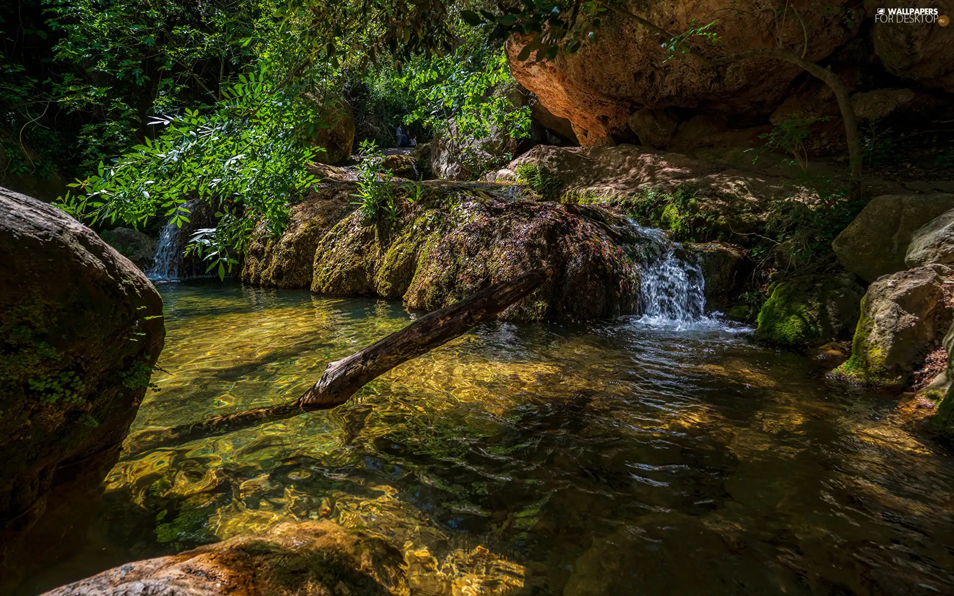 mossy, rocks, VEGETATION, Stones, viewes, River, flux, trees