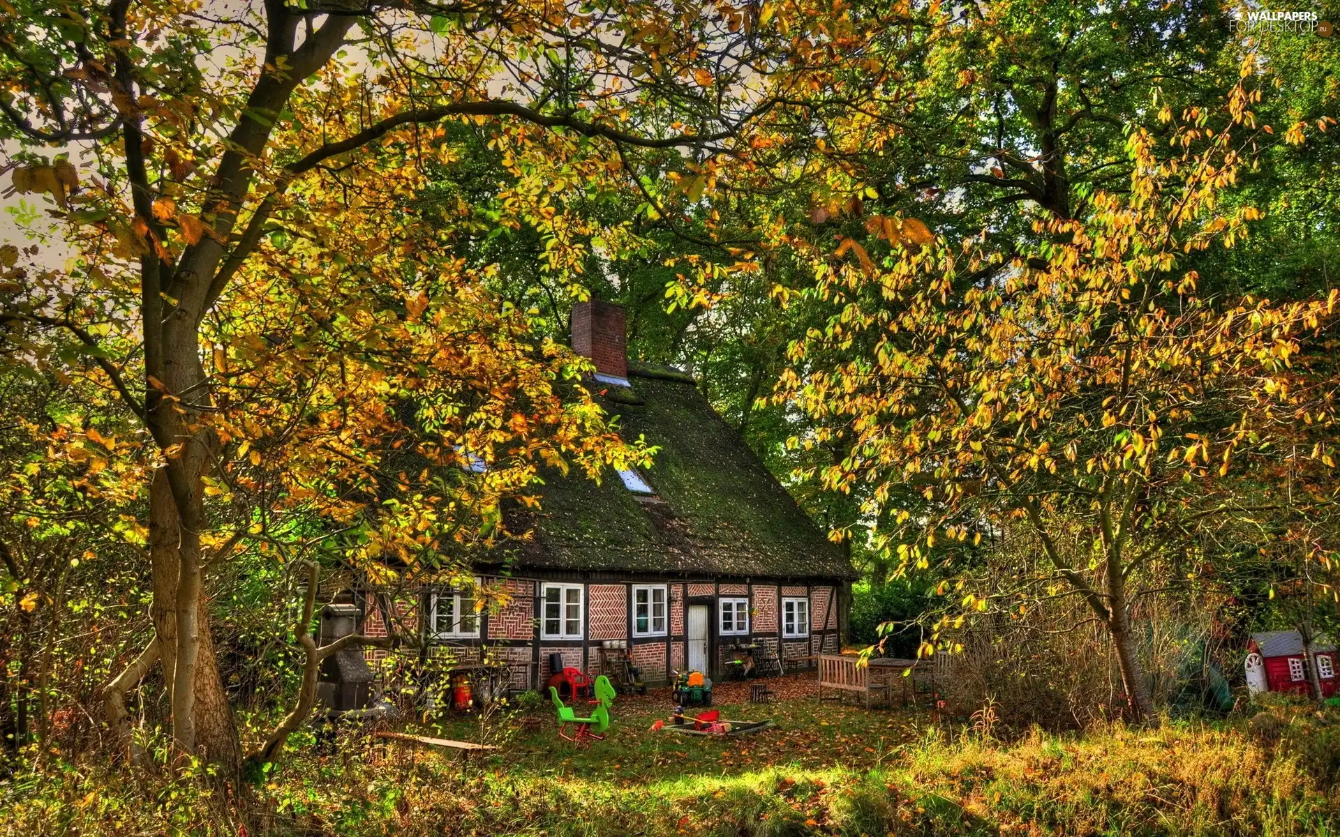 trees, viewes, house, Garden, autumn