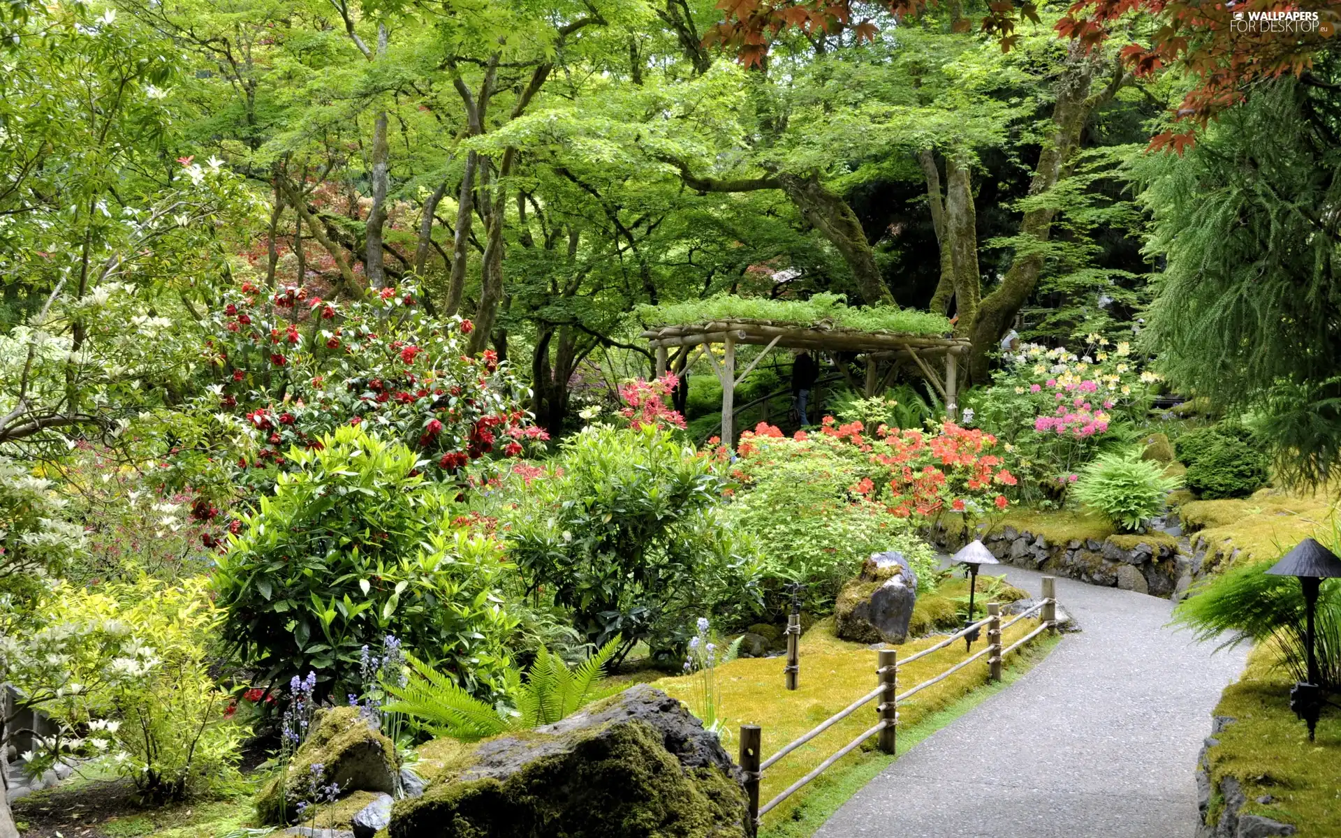 flourishing, Garden, trees, viewes, Bush, beatyfull