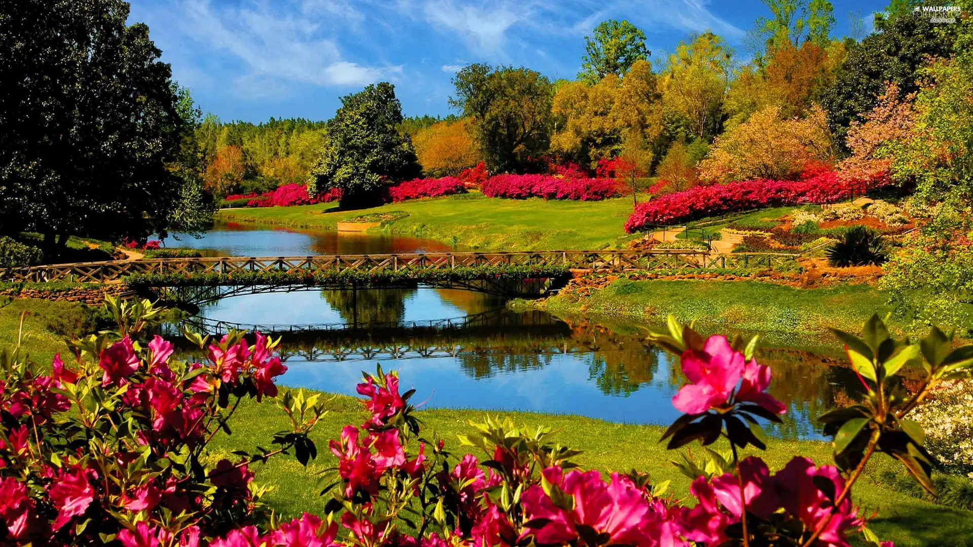 bridges, Park, trees, viewes, Flowers, brook