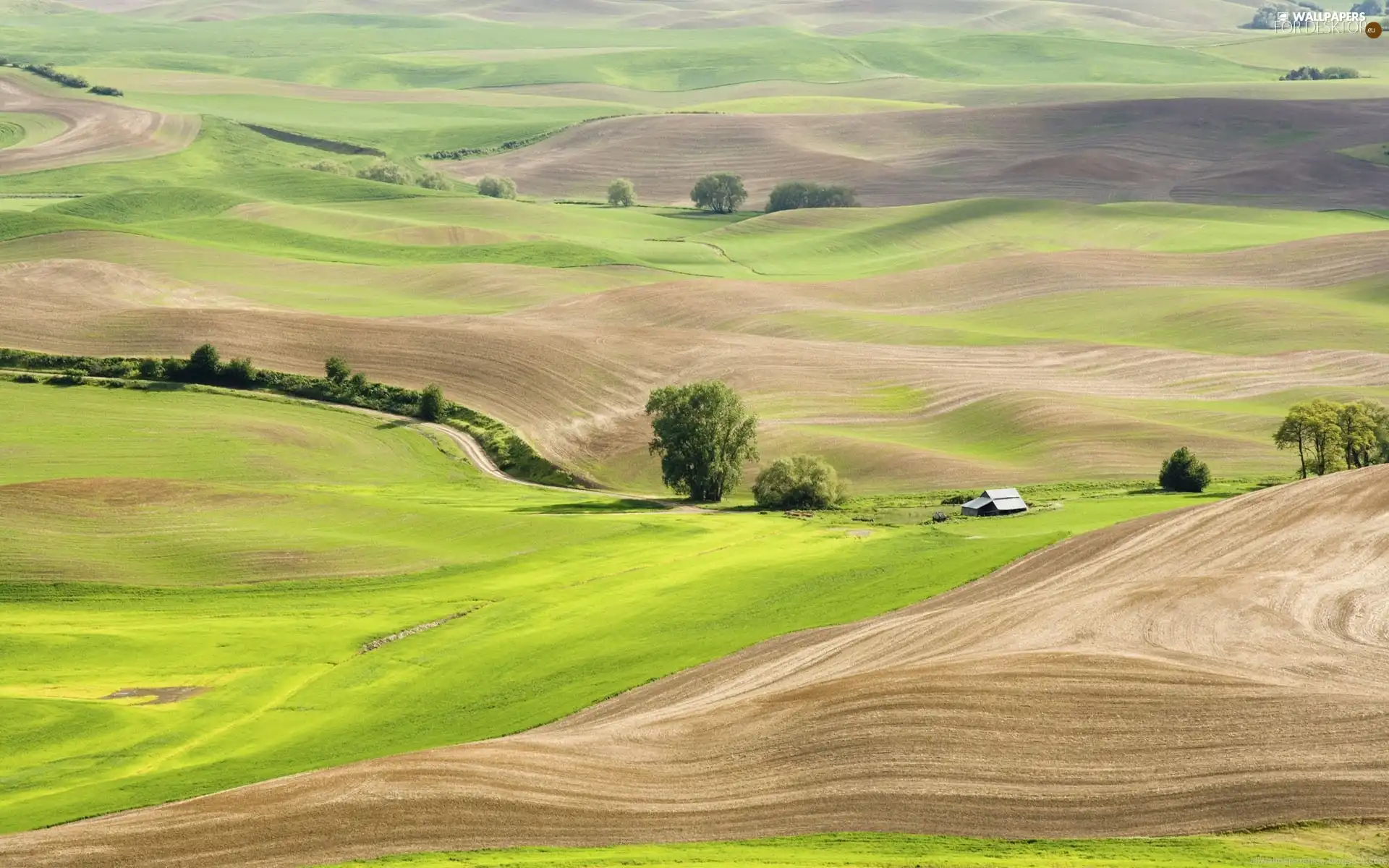 Way, Farms, trees, viewes, hills, field