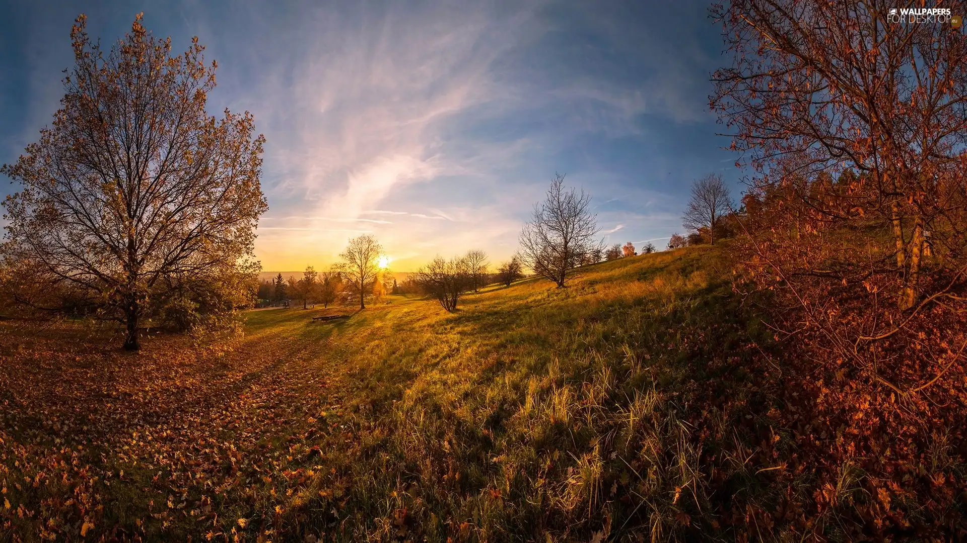 The Hills, rays of the Sun, trees, viewes, autumn