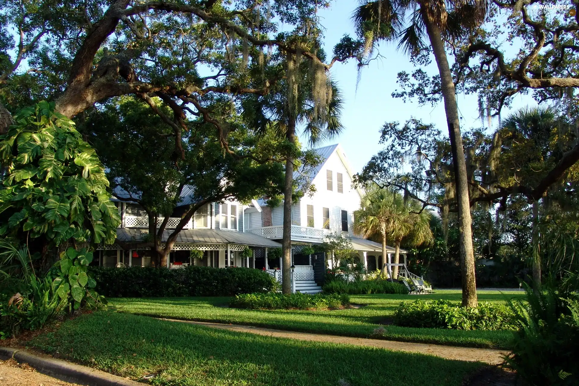 trees, viewes, residence, Lawn, house