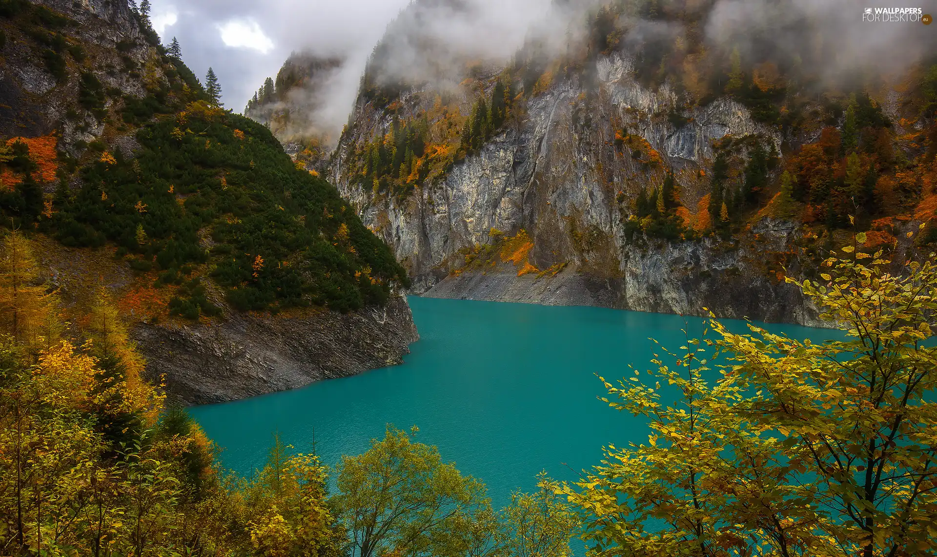 Fog, autumn, trees, viewes, lake, Mountains