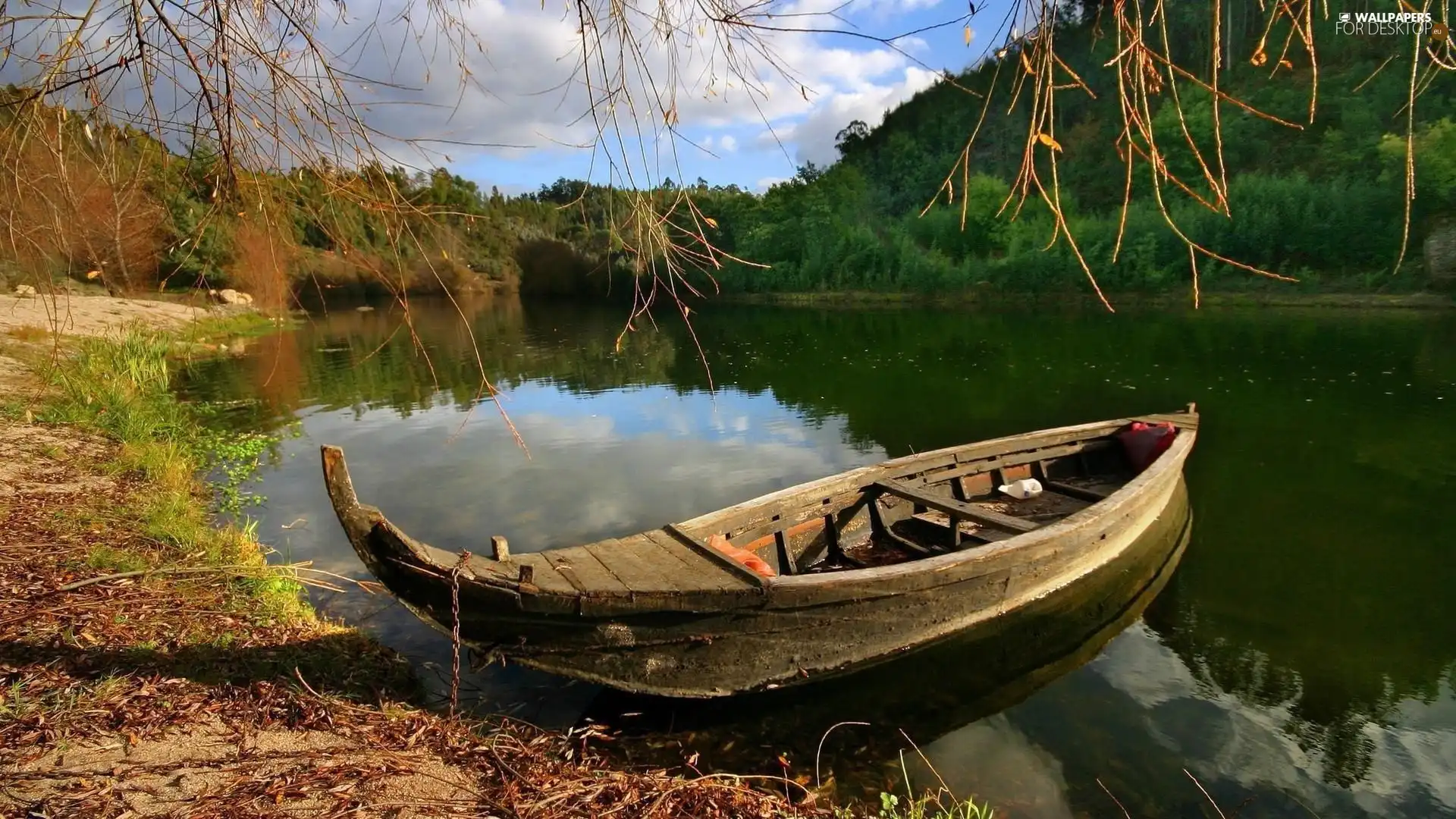 trees, viewes, coast, Boat, lake