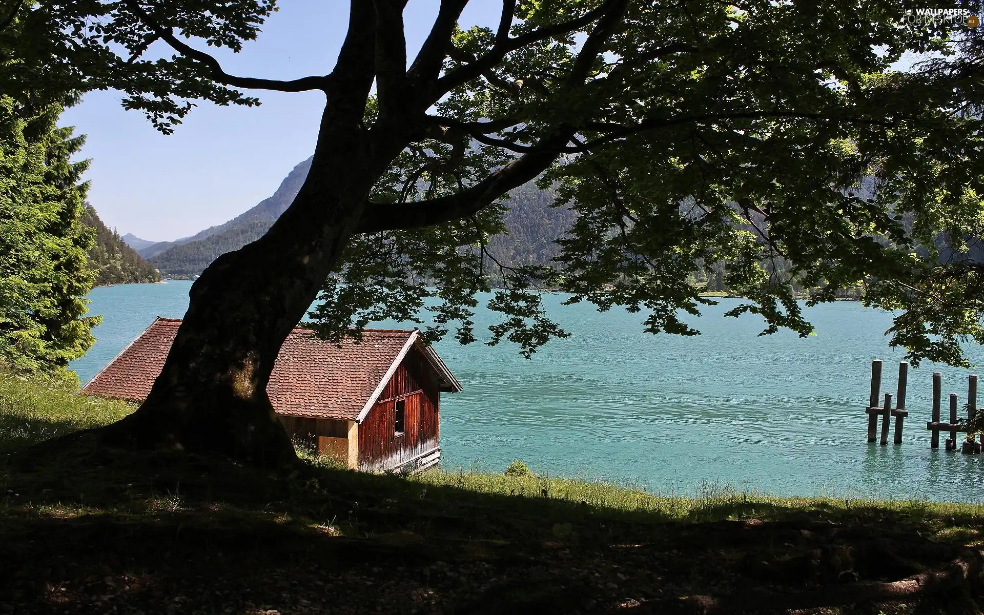 trees, viewes, Home, Mountains, lake