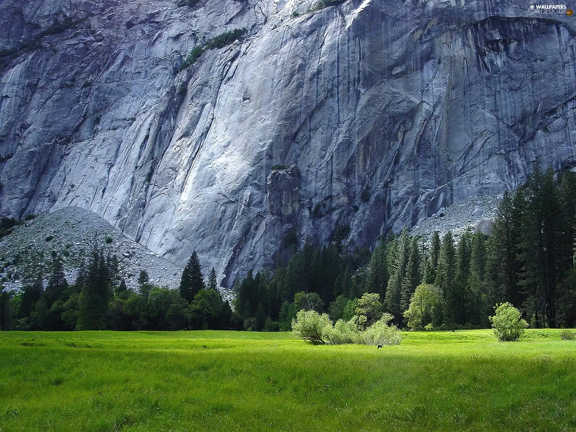 Green, Great, trees, viewes, Meadow, rocks