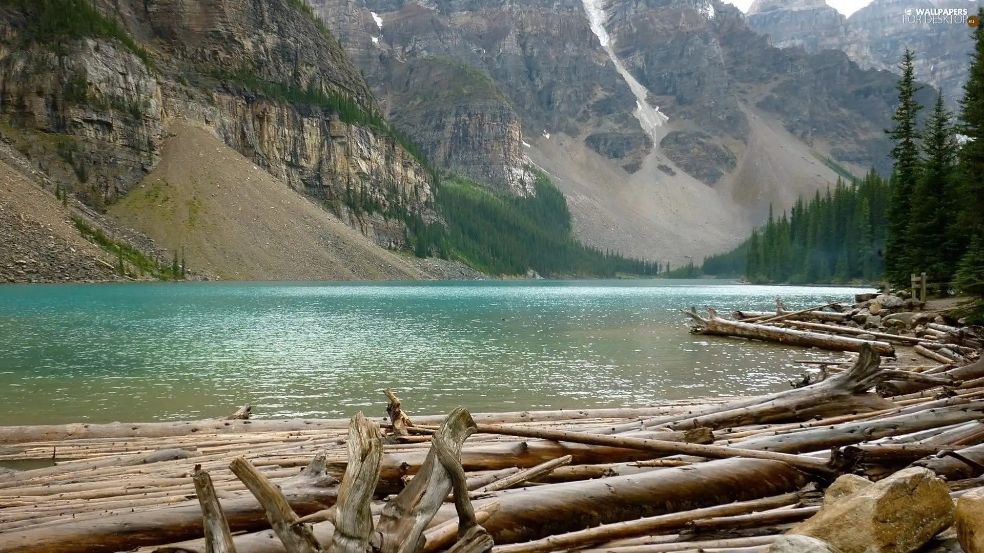 trees, viewes, River, broken, Mountains